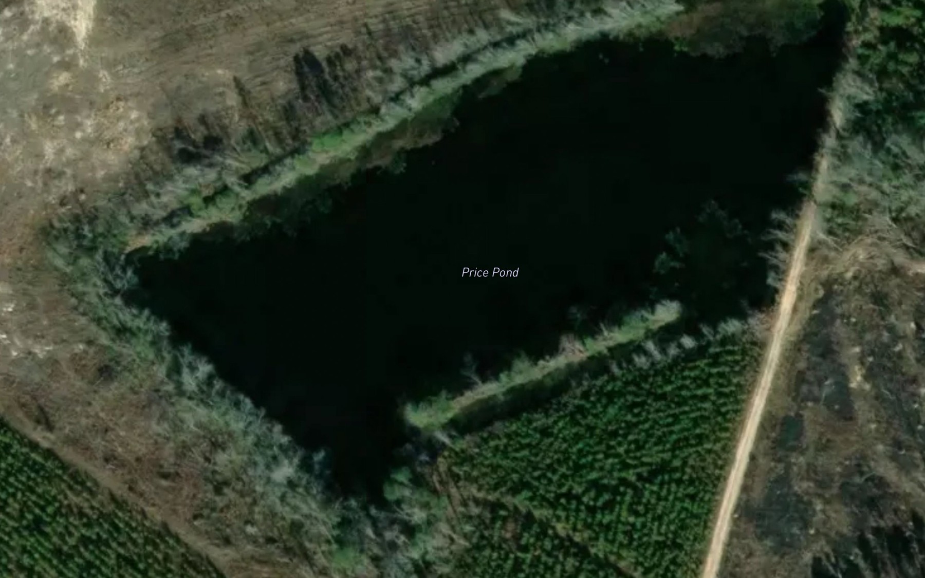 Satellite map of the Price Pond