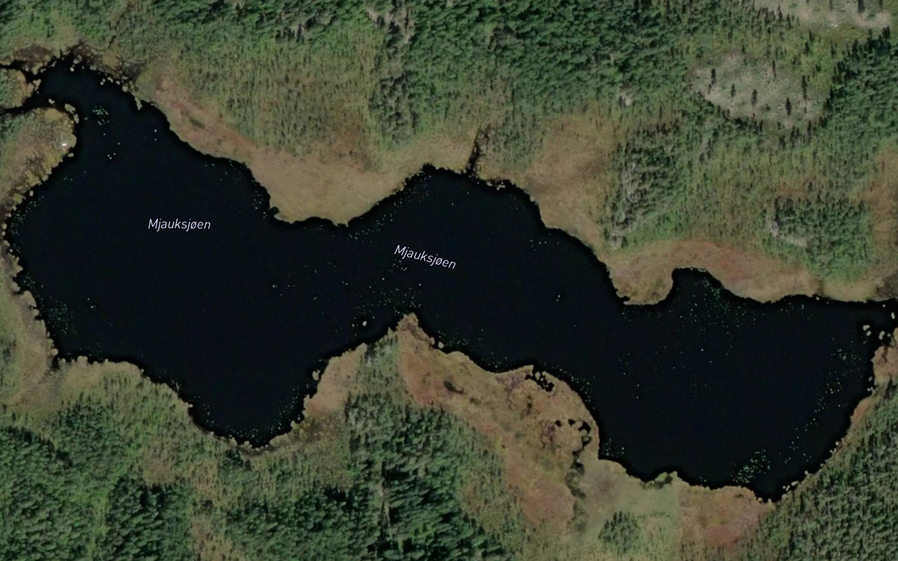Satellite map of the Mauksjoen