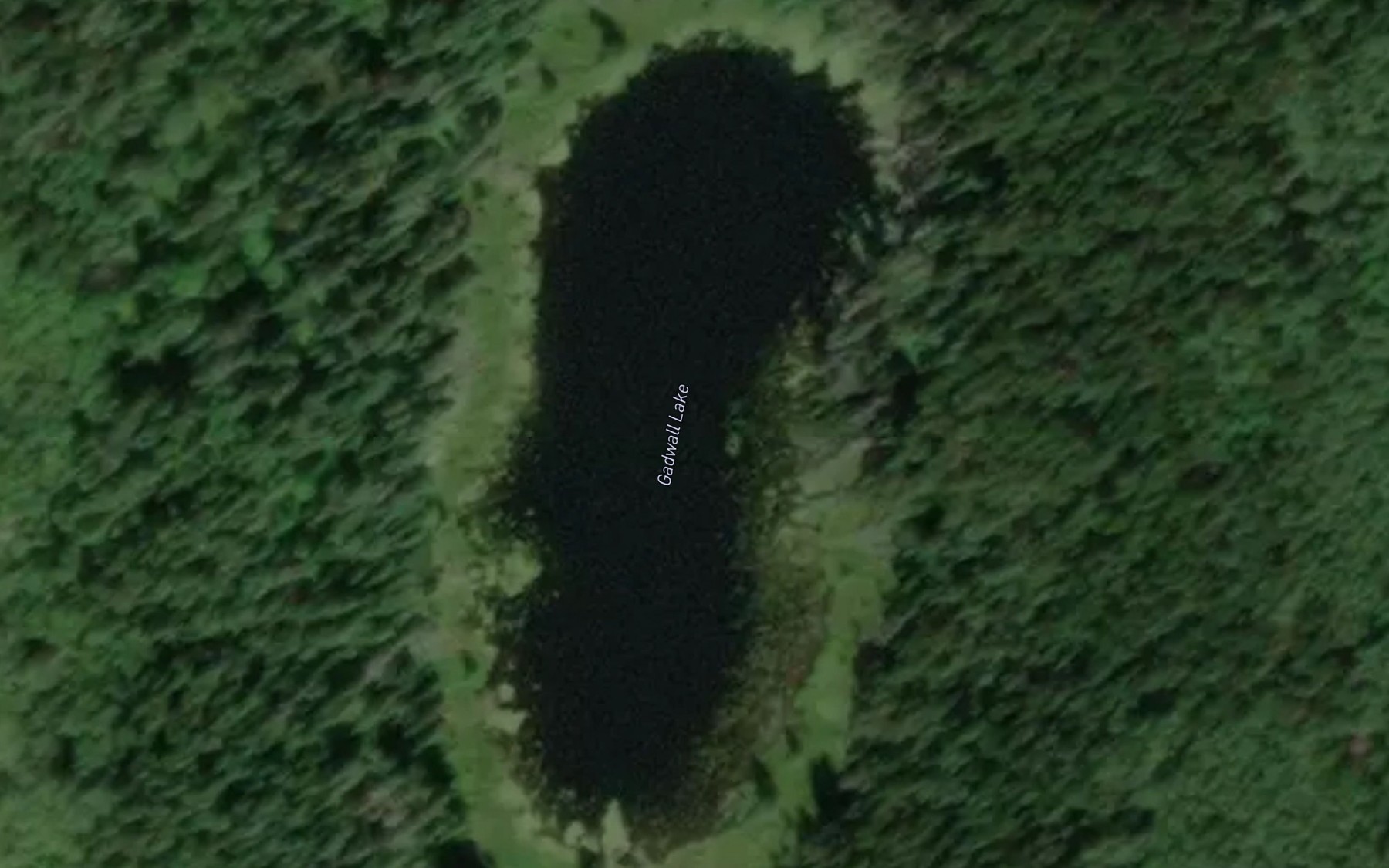 Satellite map of the Gadwall Lake