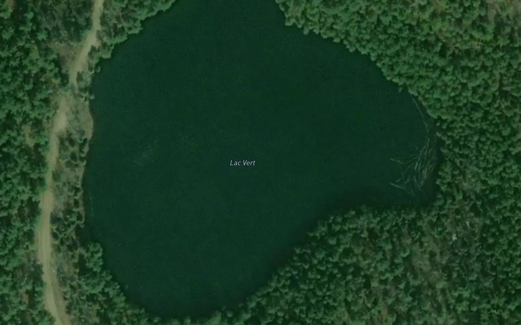 Satellite map of the Lac Vert