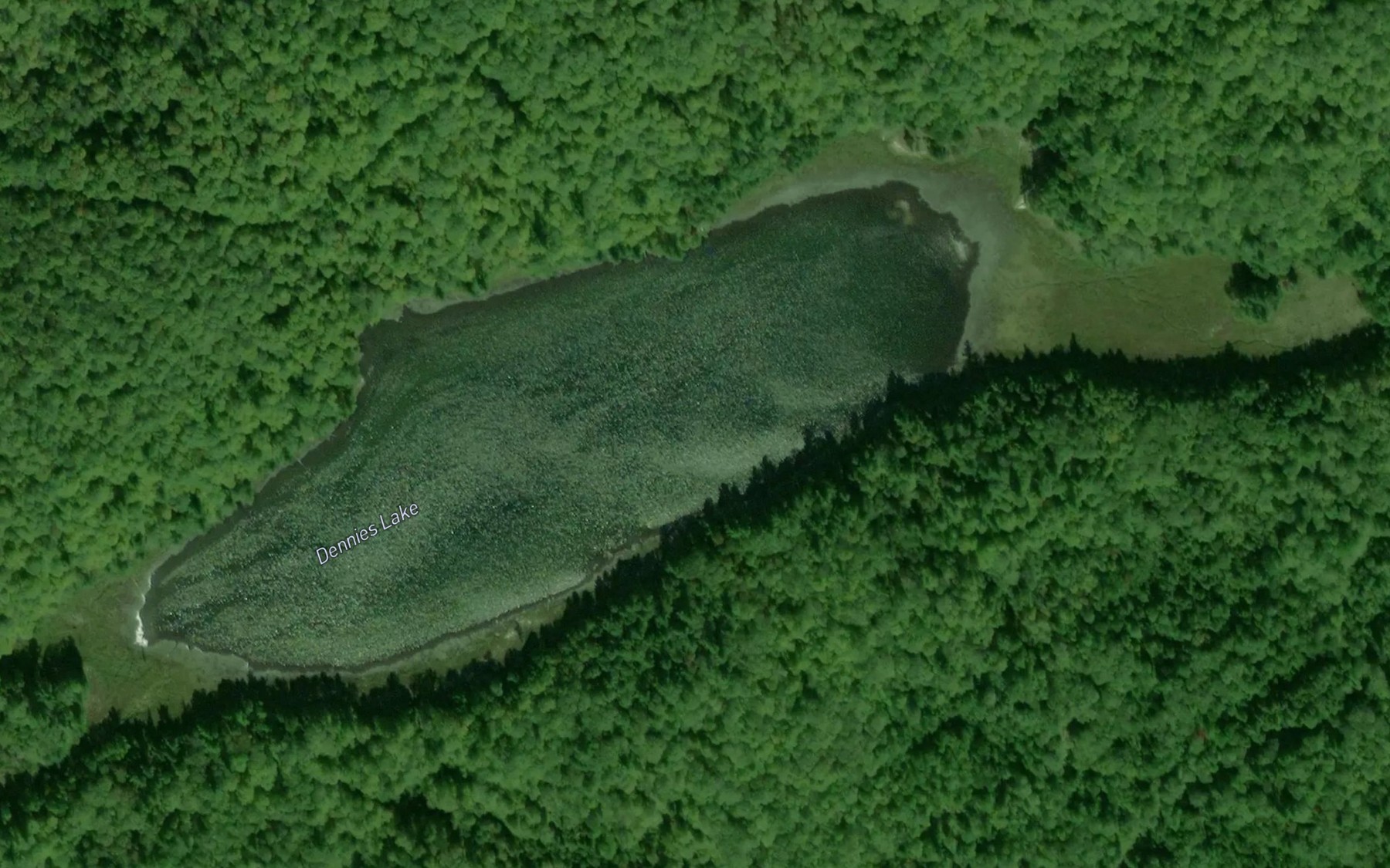Satellite map of the Dennies Lake