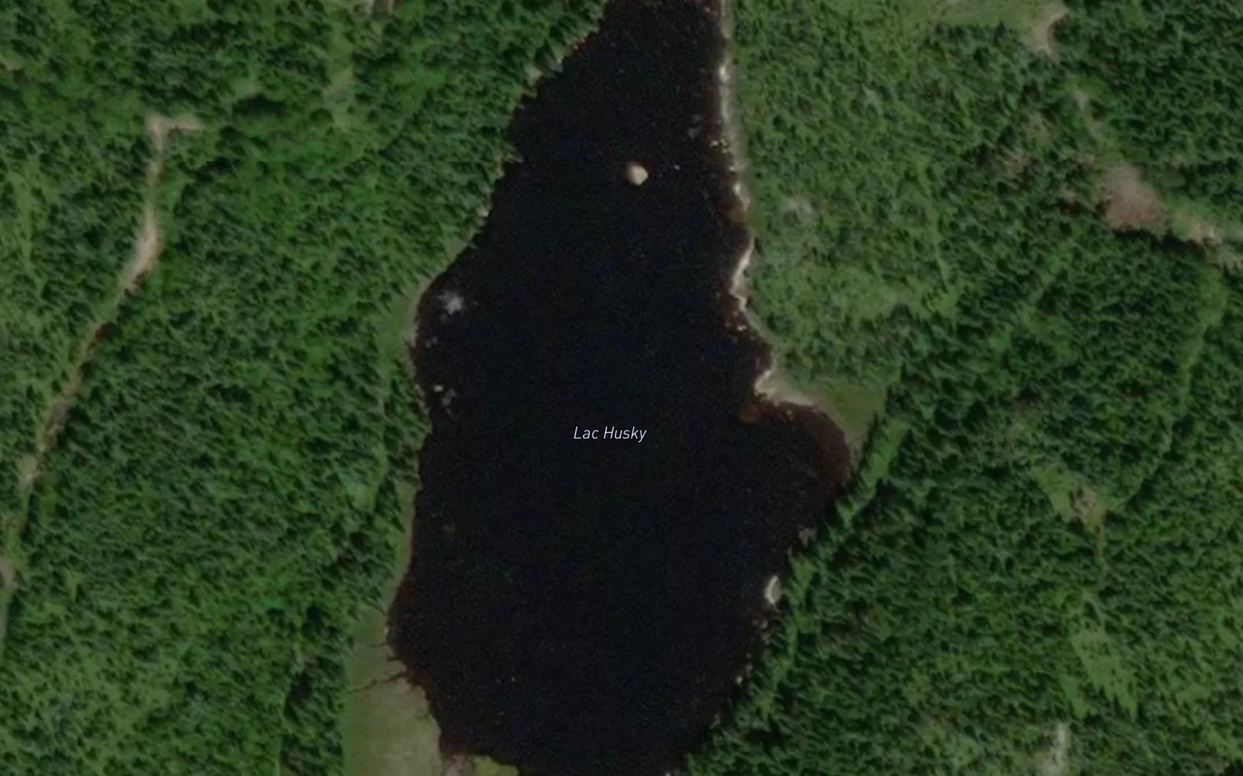 Lac Husky