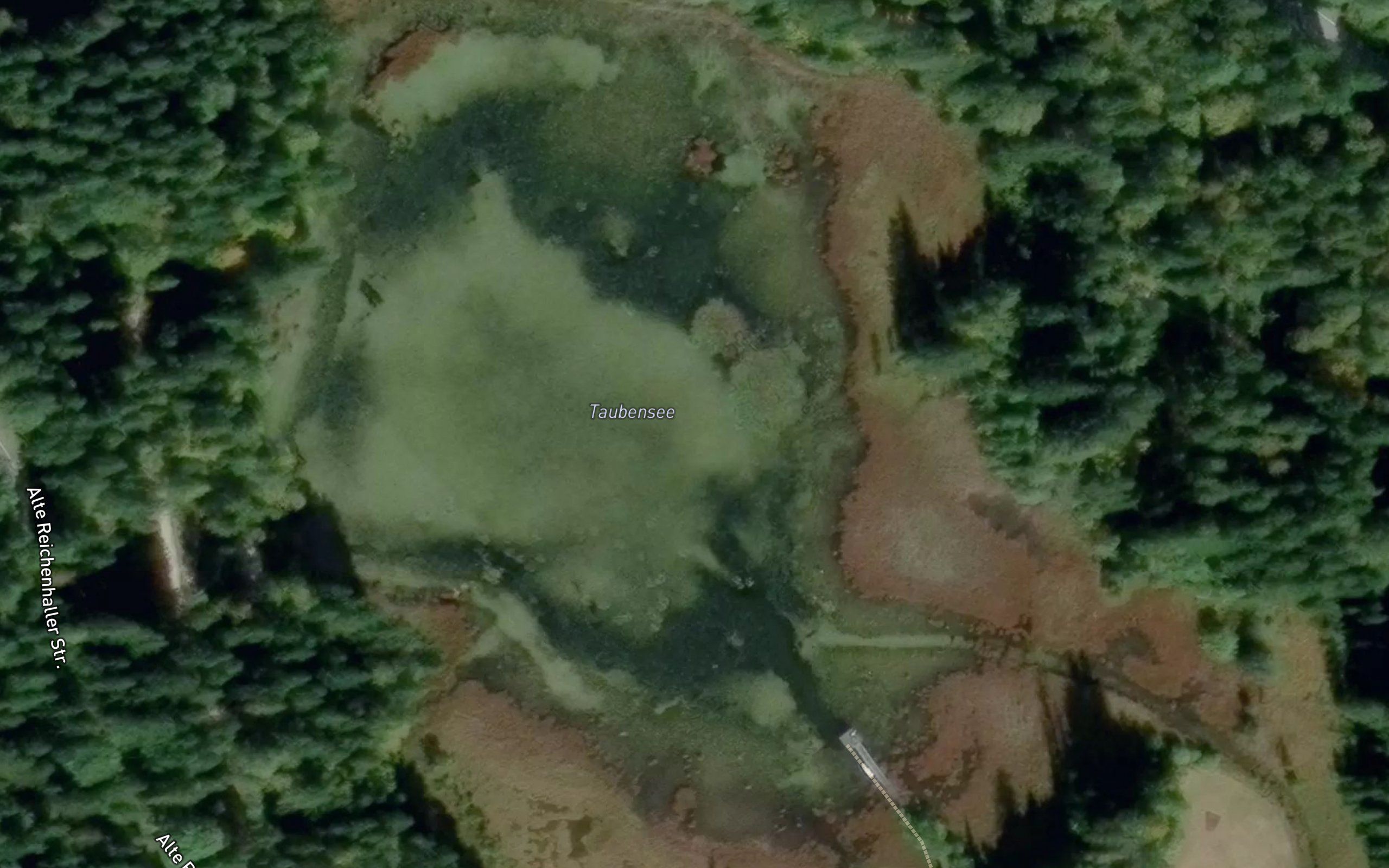 Tauben See