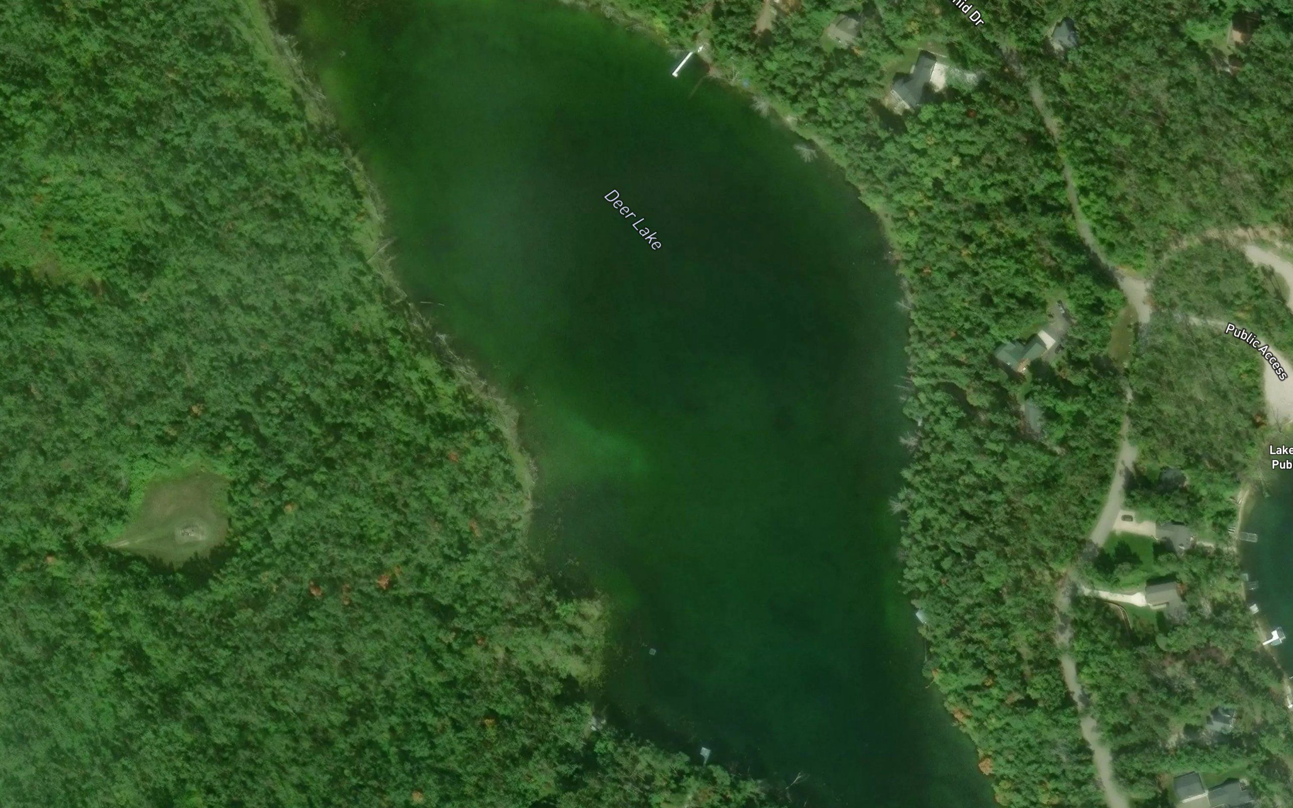 Deer Lake