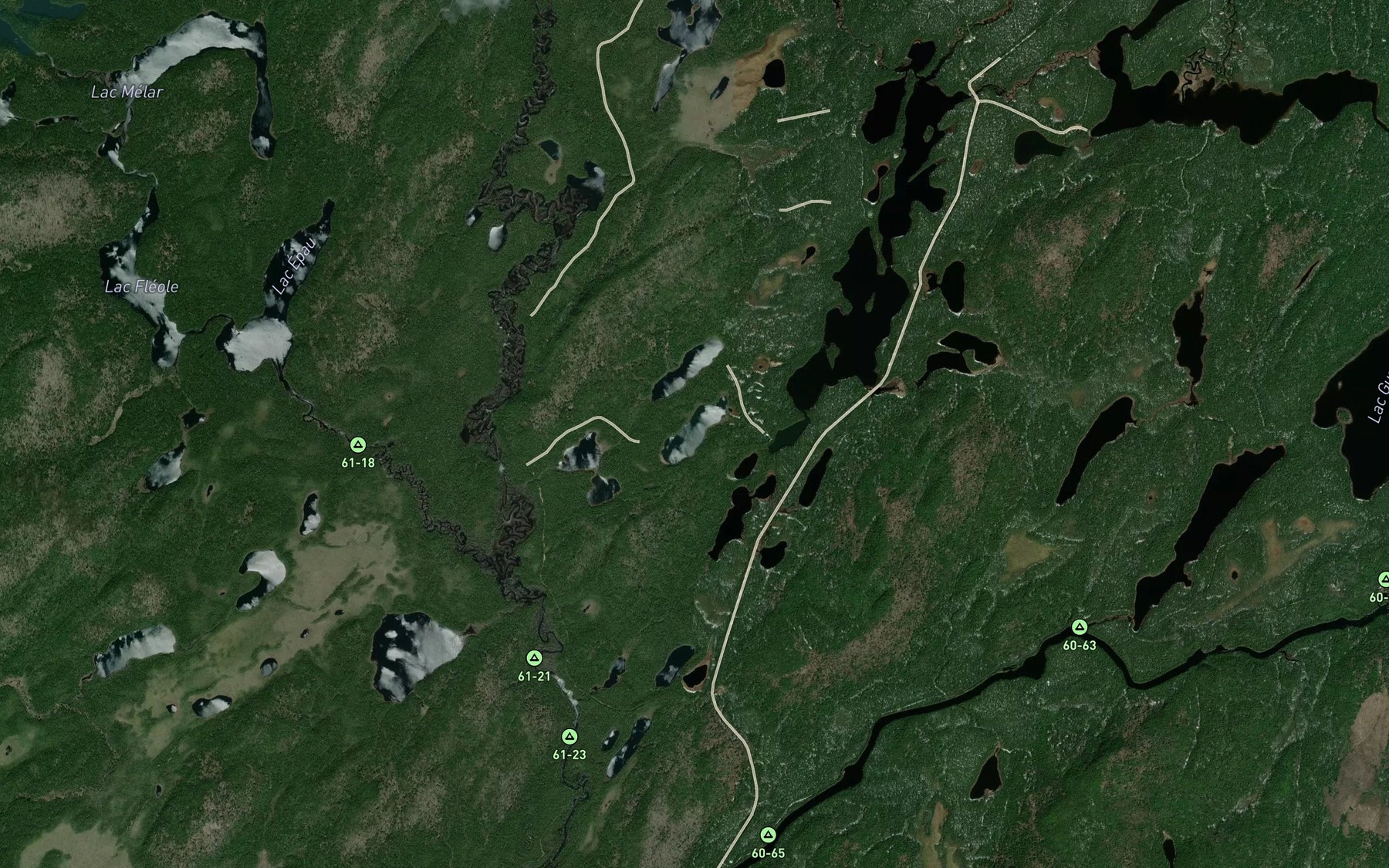 Satellite map of the Lac Saumoneau