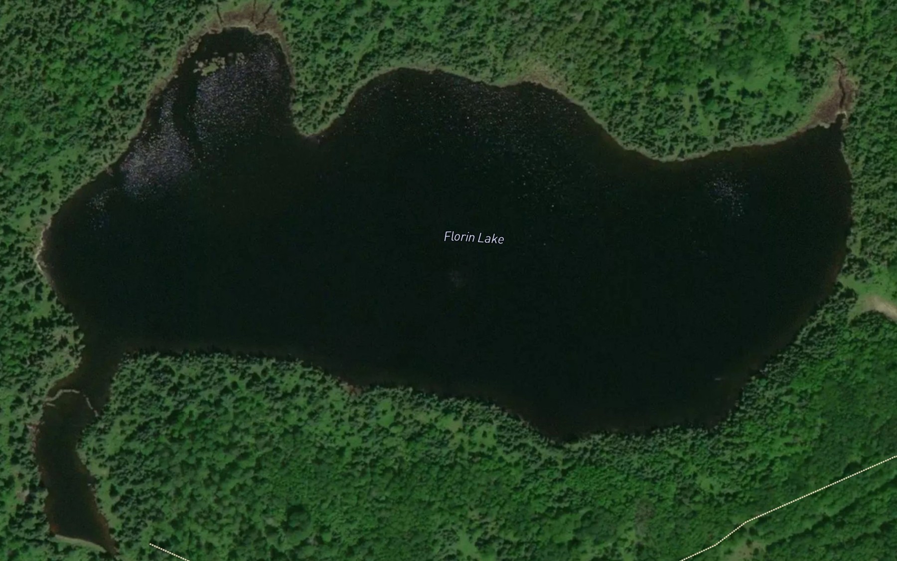 Satellite map of the Florin Lake