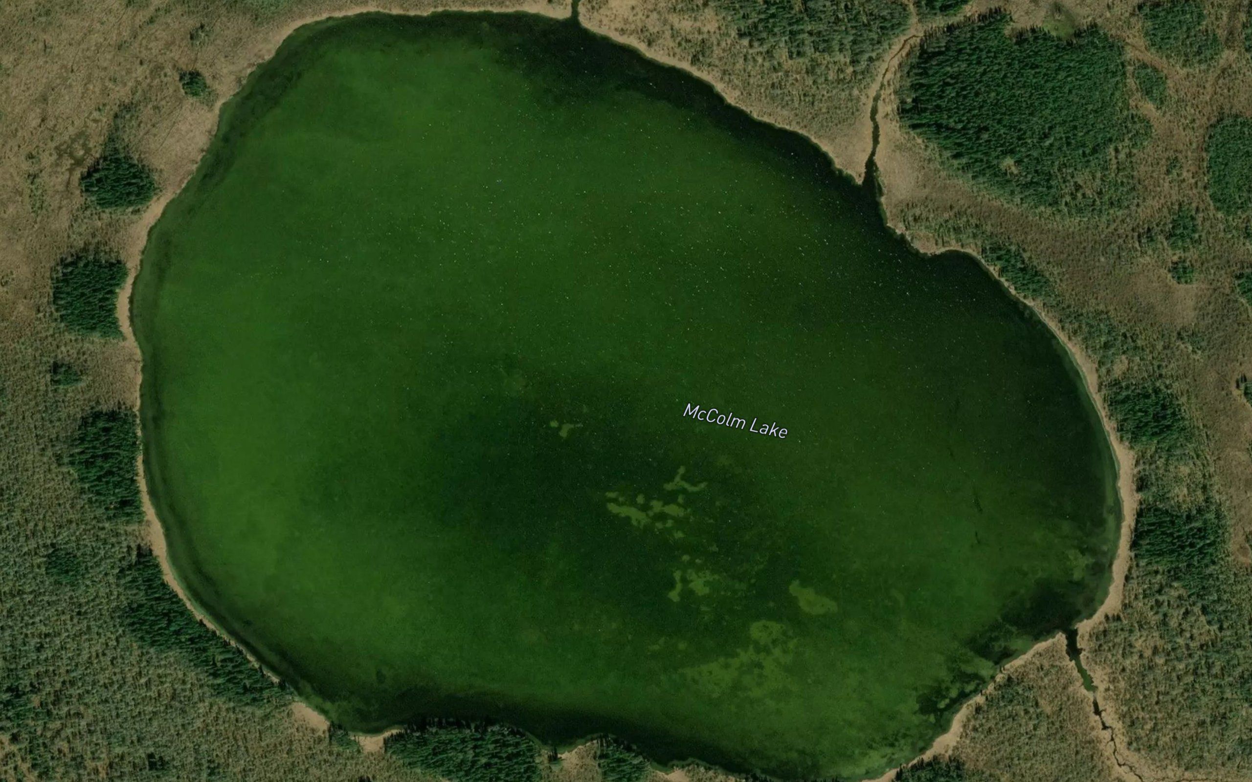 McColm Lake