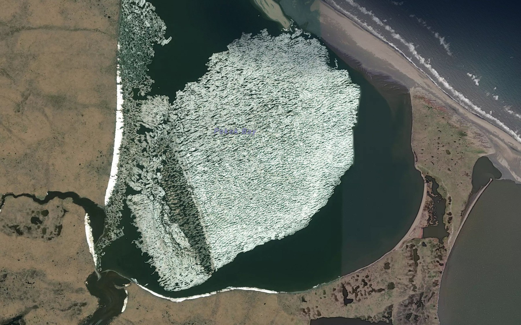 Satellite map of the Pokok Bay