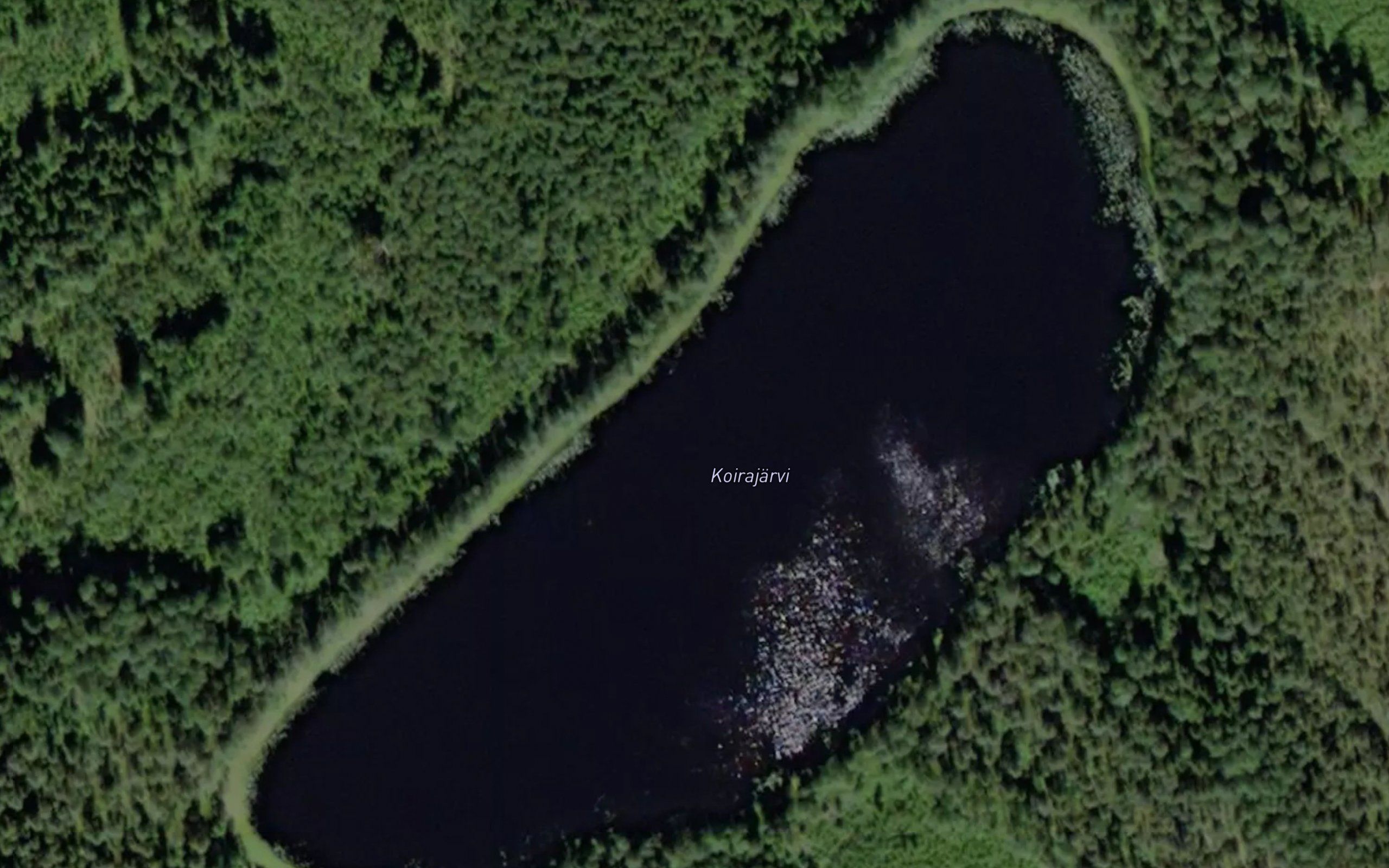 Koirajarvi