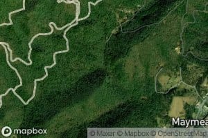 West Fork Laurel Branch