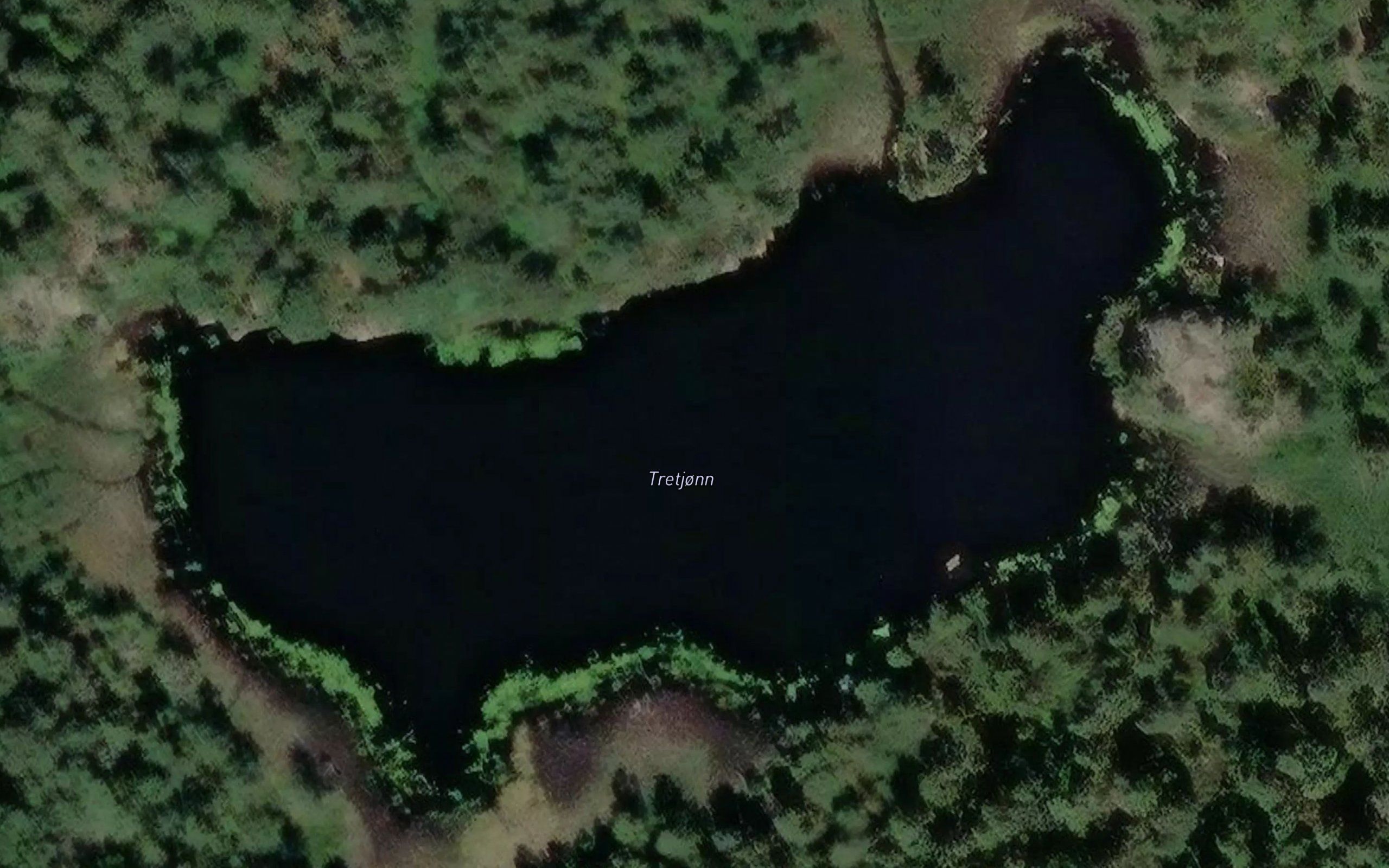 Tretjonn