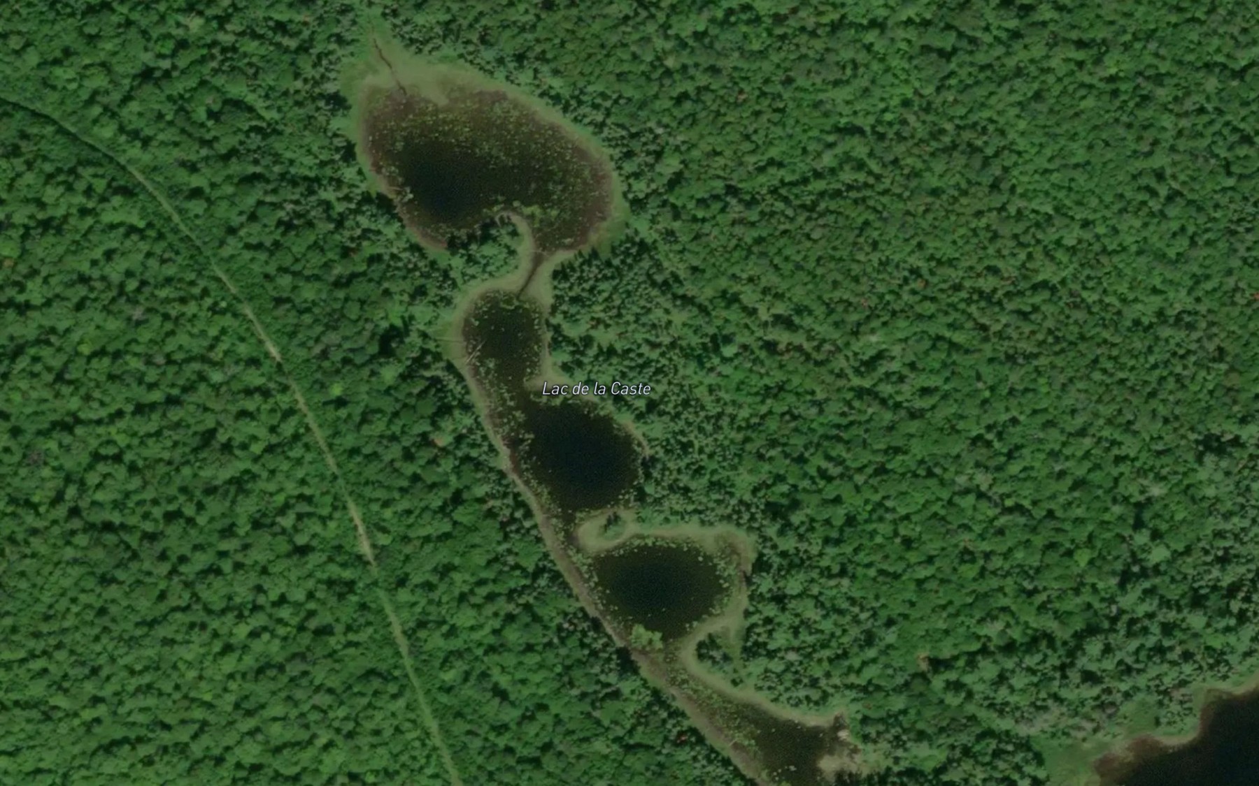 Satellite map of the Lac de la Caste