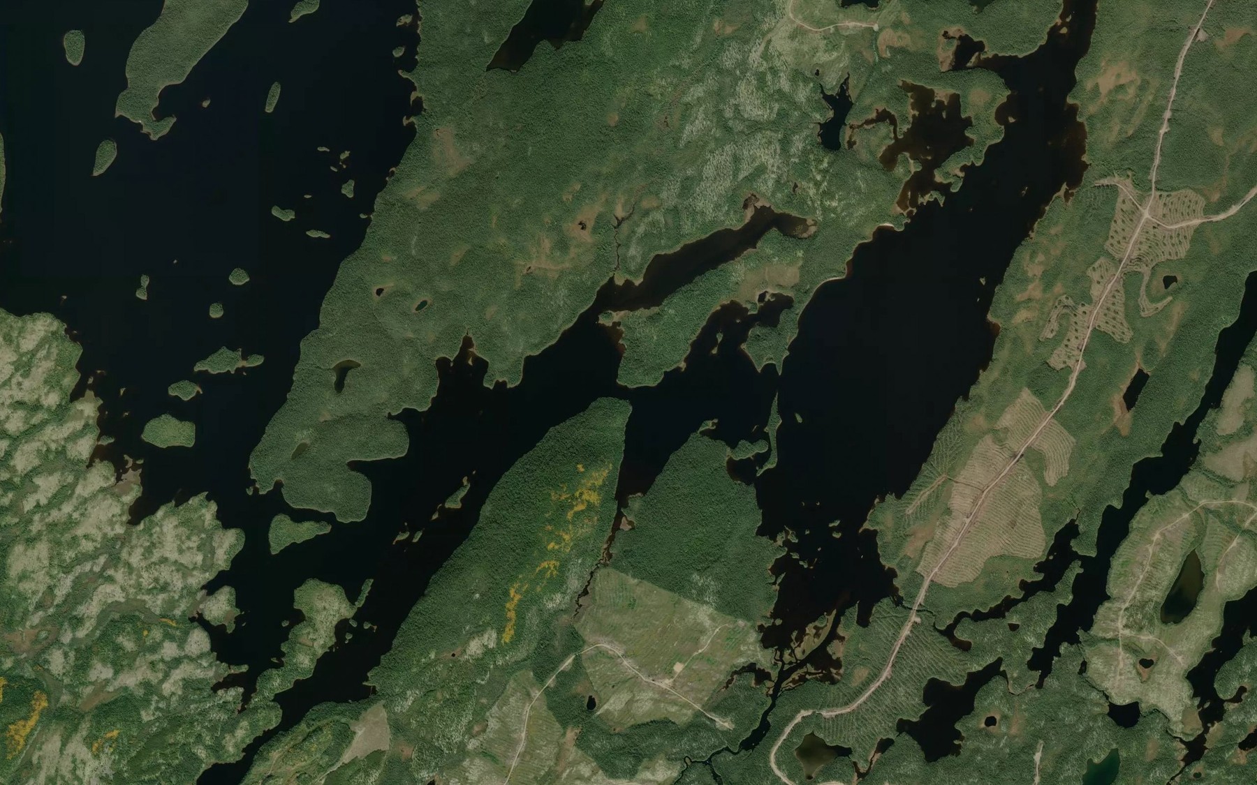 Satellite map of the Lac Tournemine