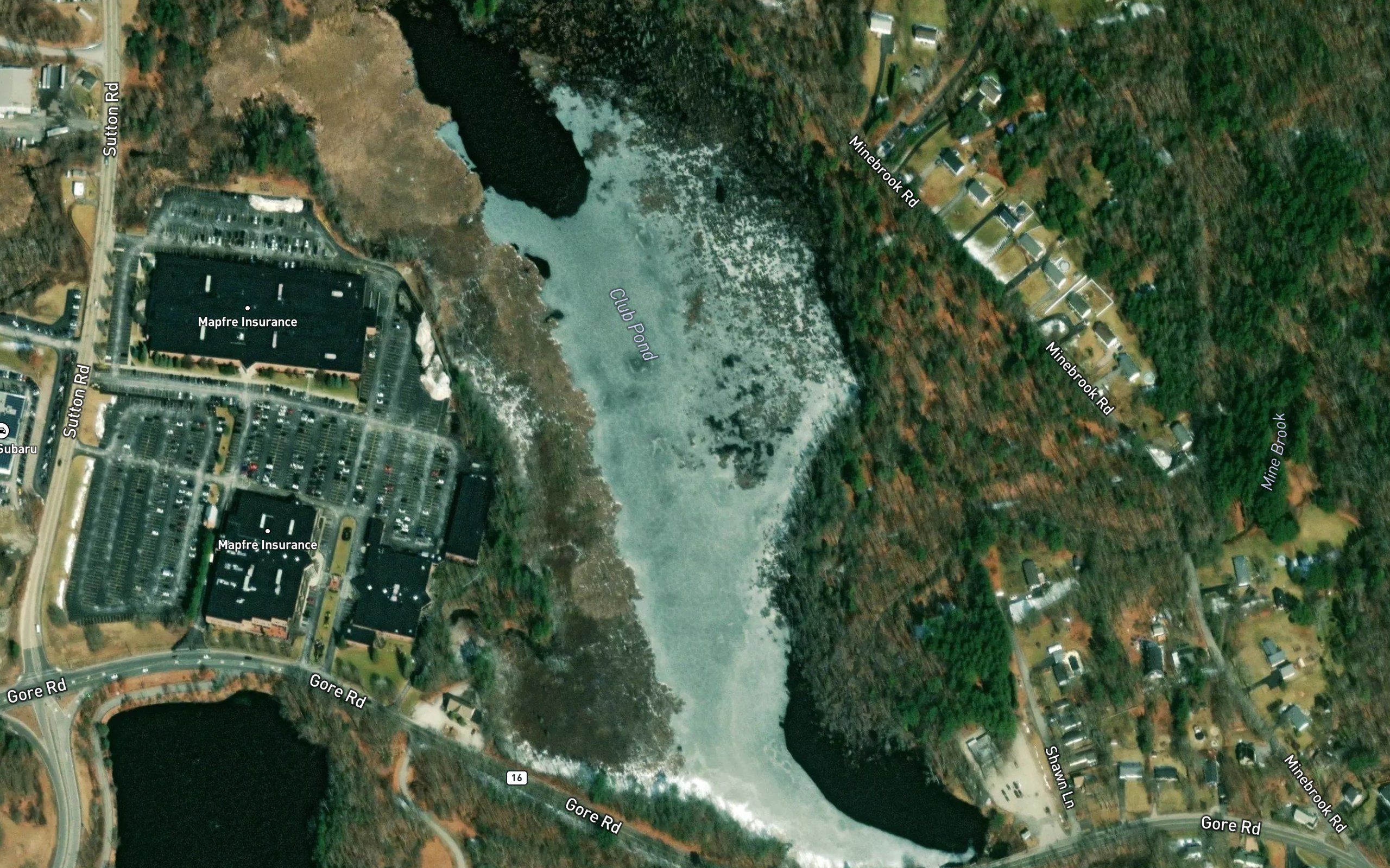 Club Pond