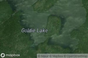 Goldie Lake