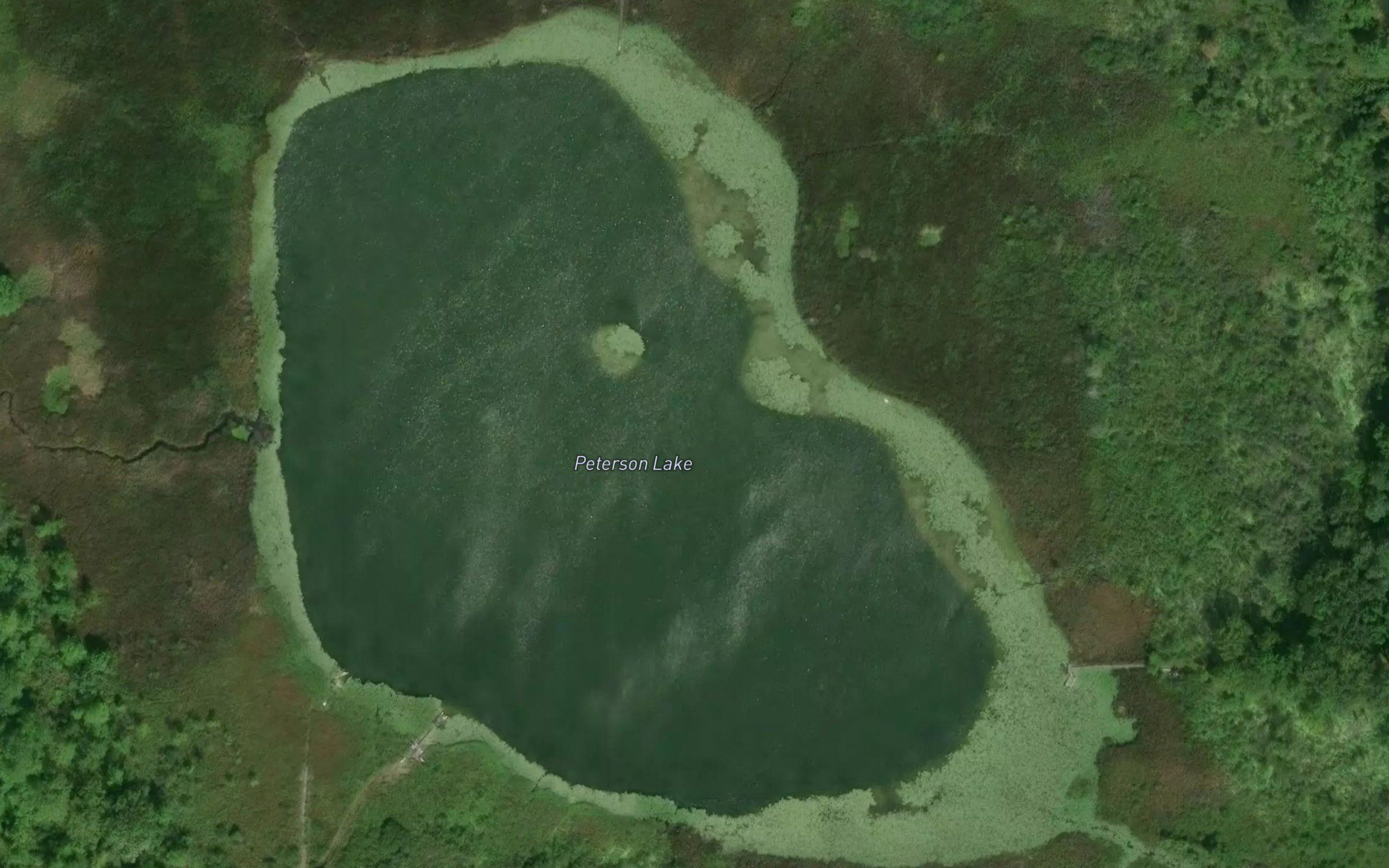Peterson Lake