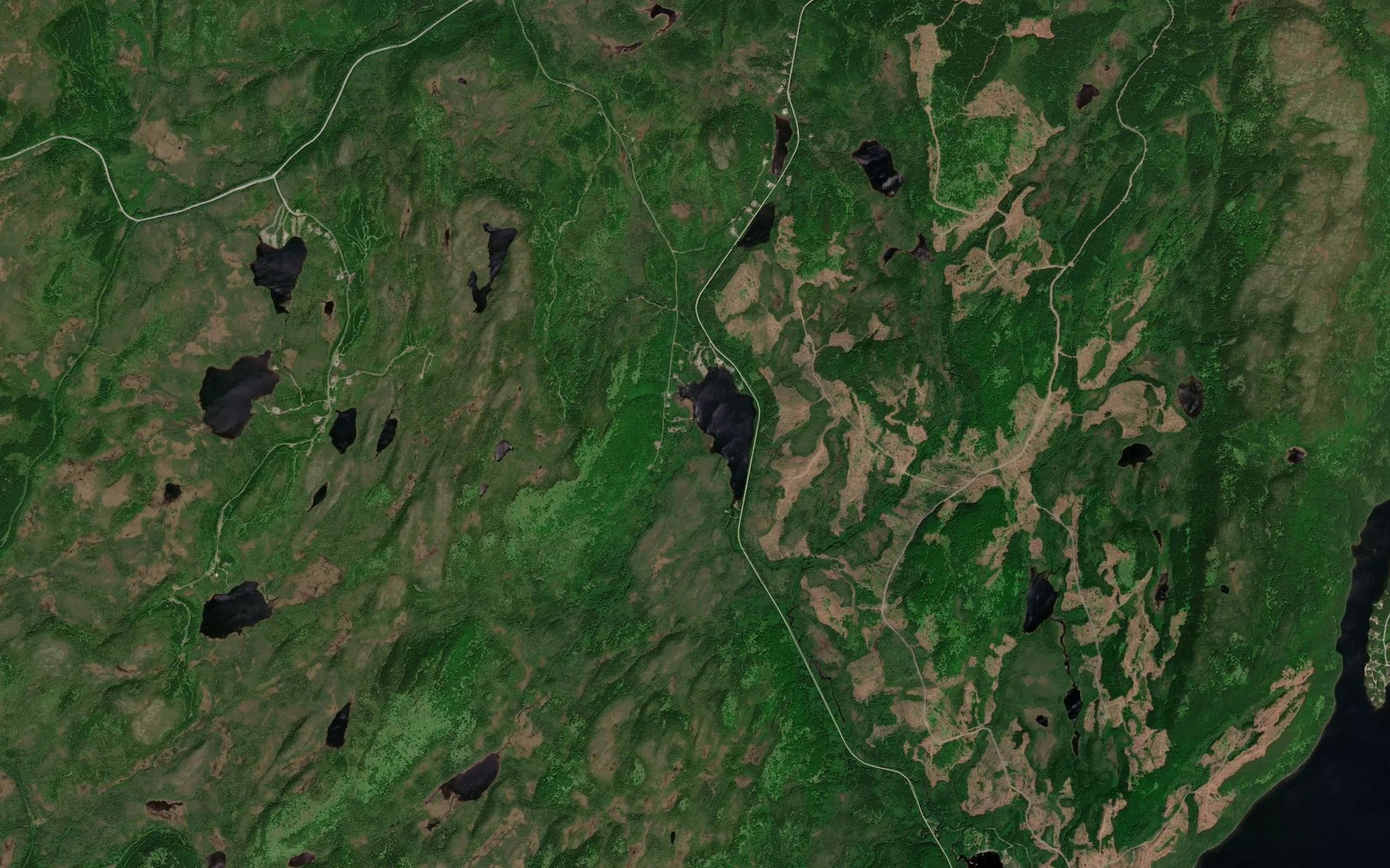 Satellite map of the Beaver Pond