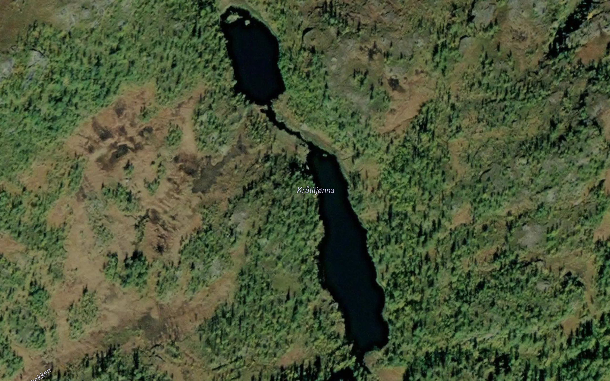 Kralitjonna