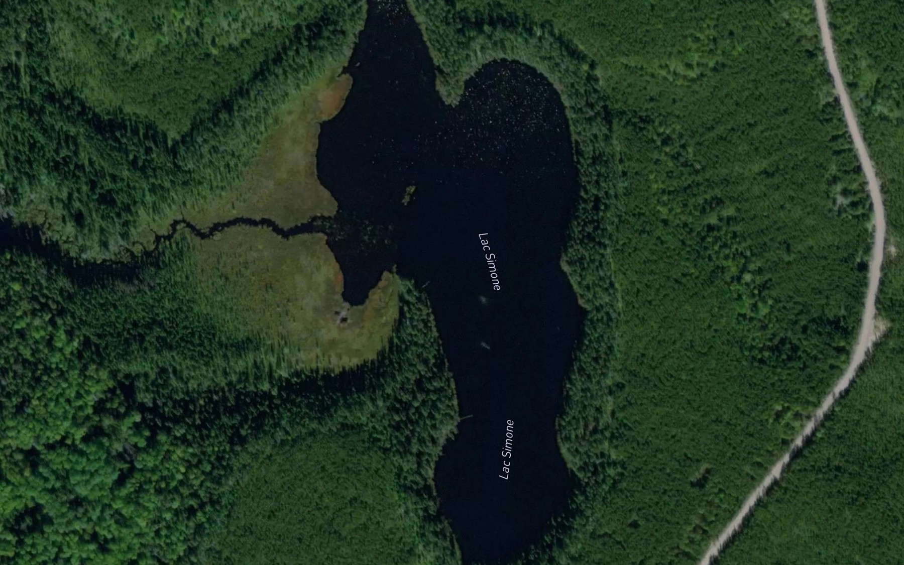 Satellite map of the Lac Simone