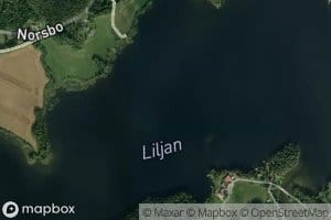 Liljan