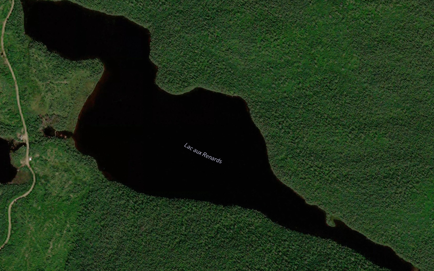 Satellite map of the Lac aux Renards