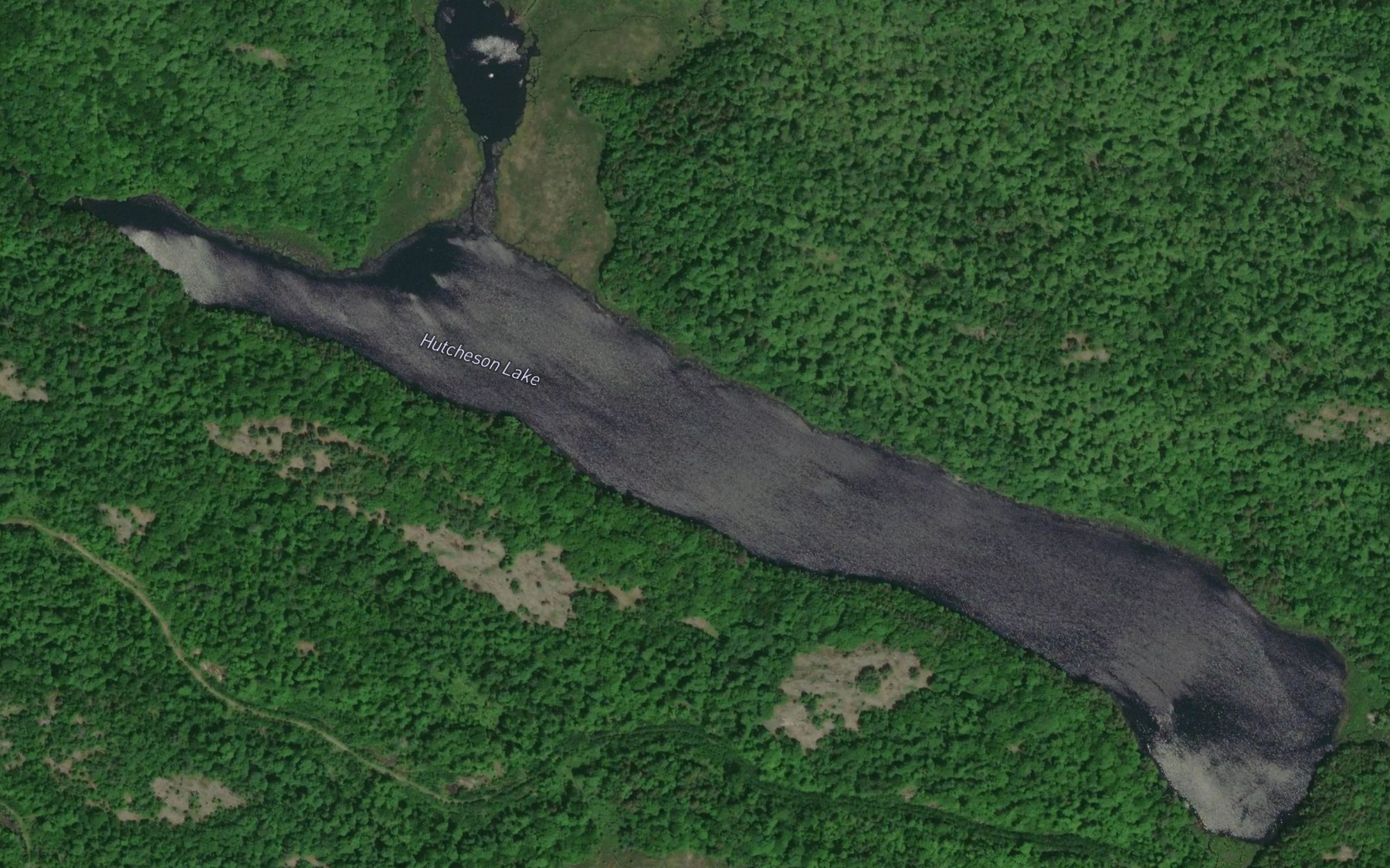 Satellite map of the Hutcheson Lake