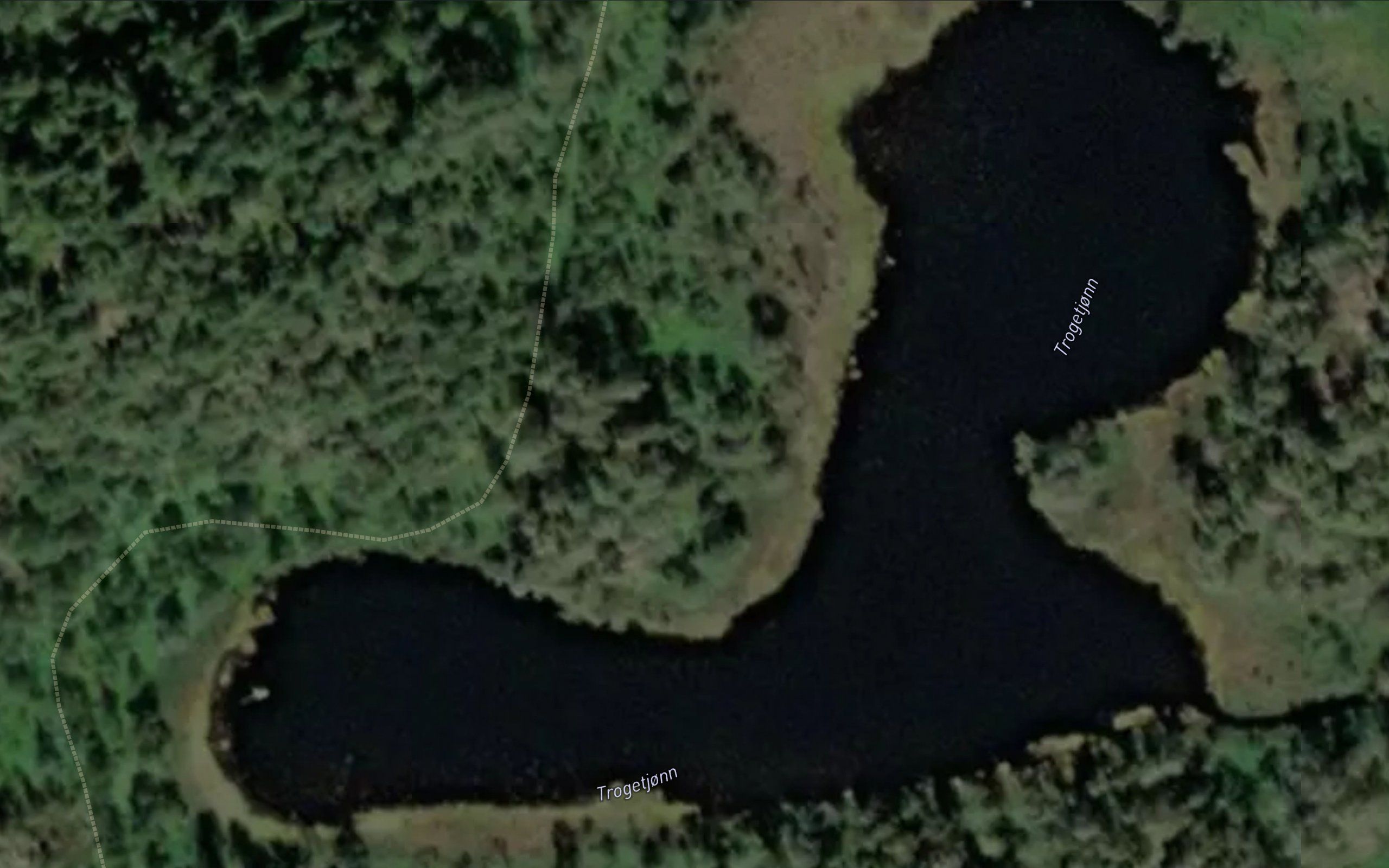Trogetjonn