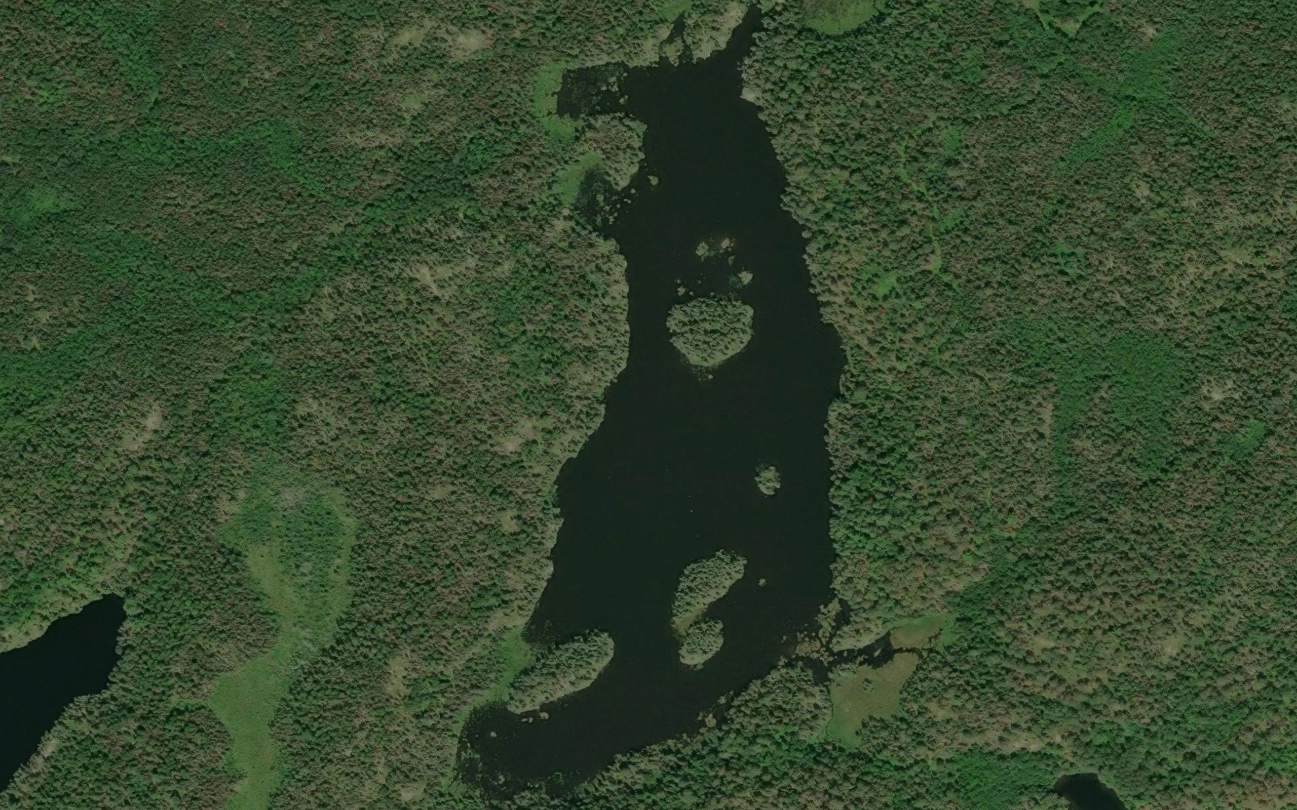 The Minnowpond