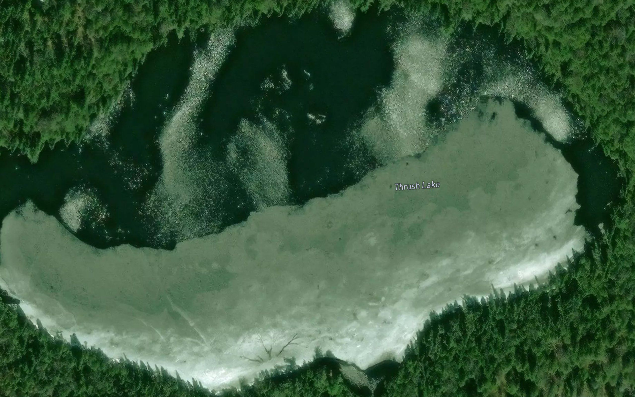 Thrush Lake