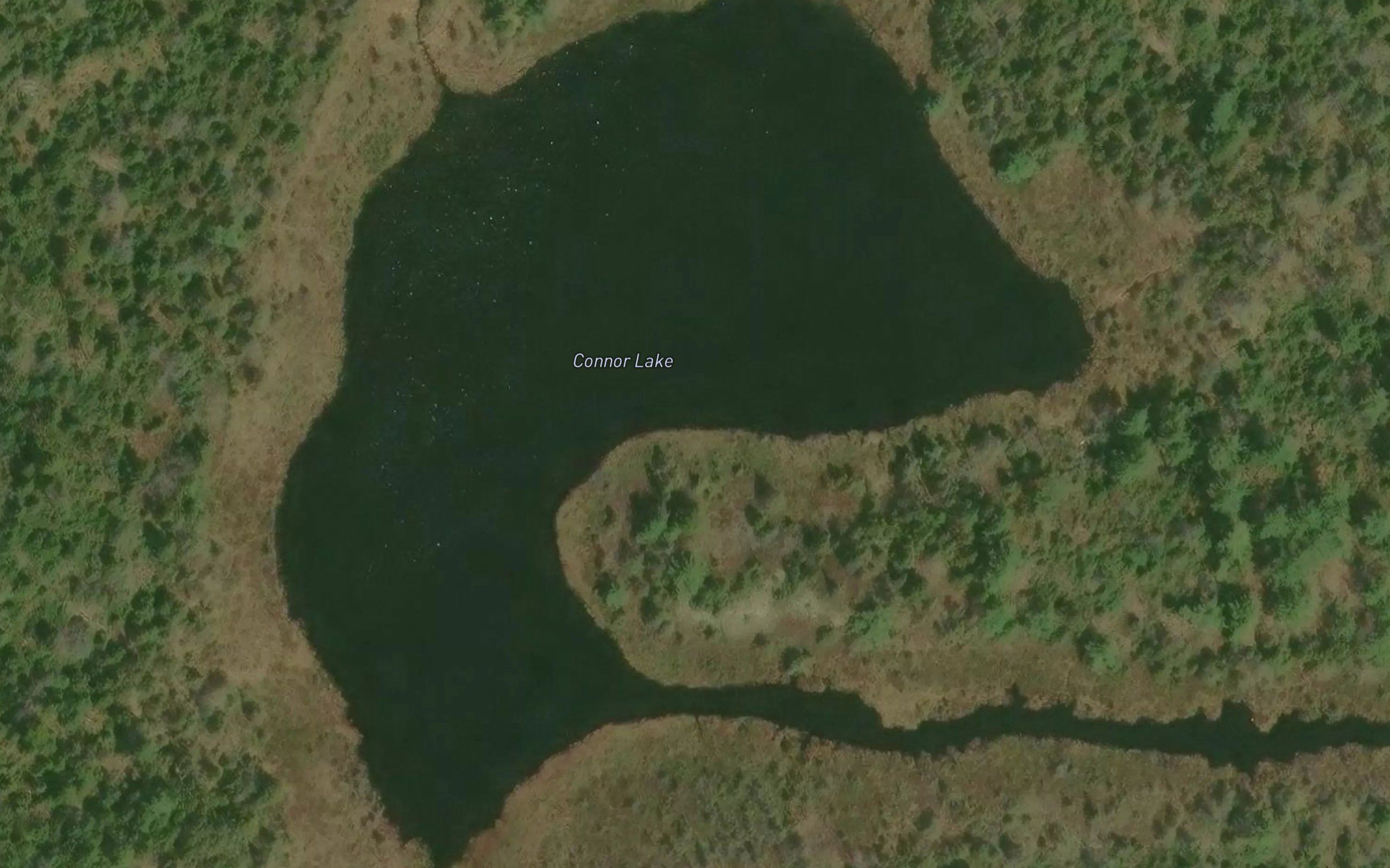 Connor Lake