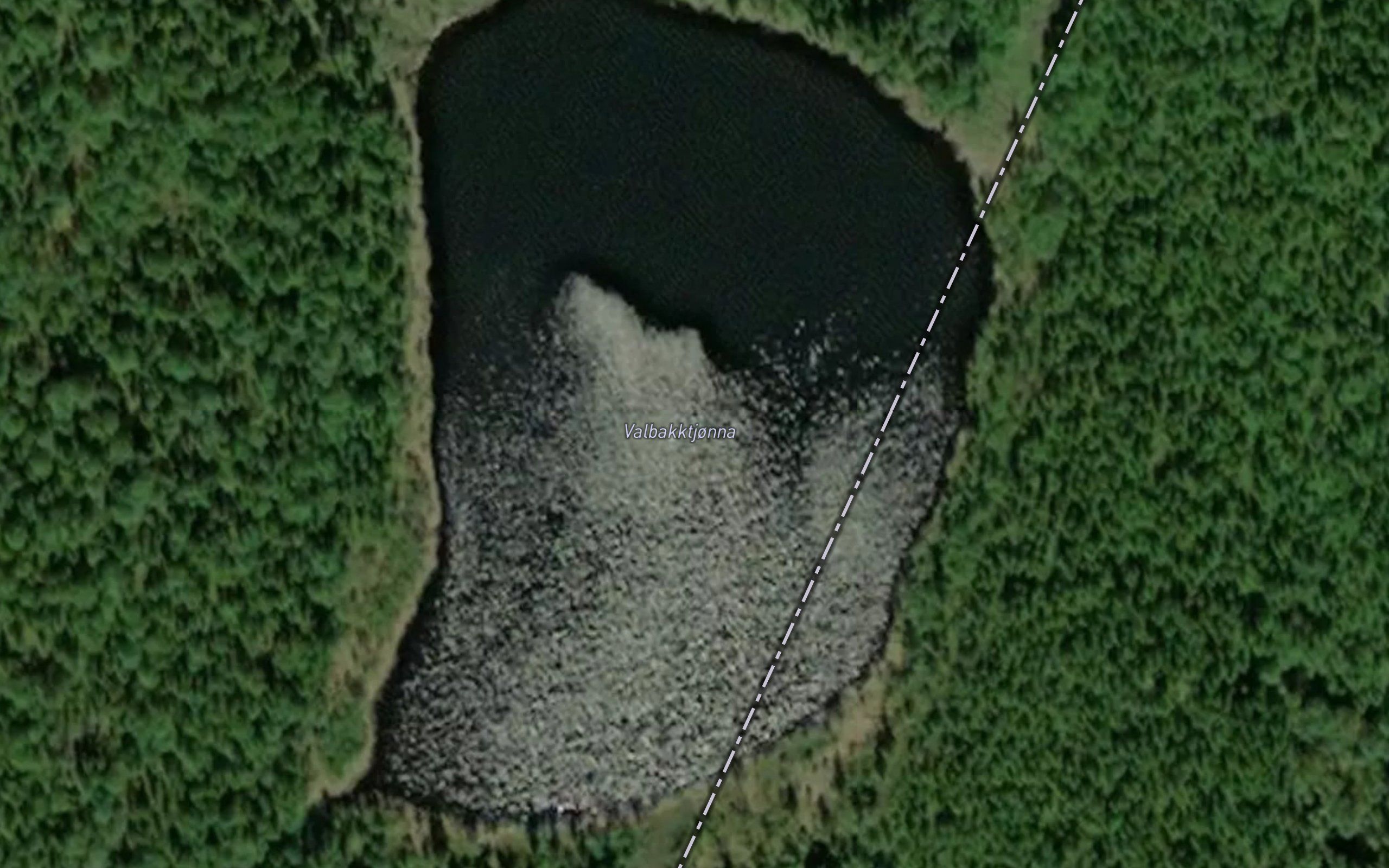 Valbakktjorna