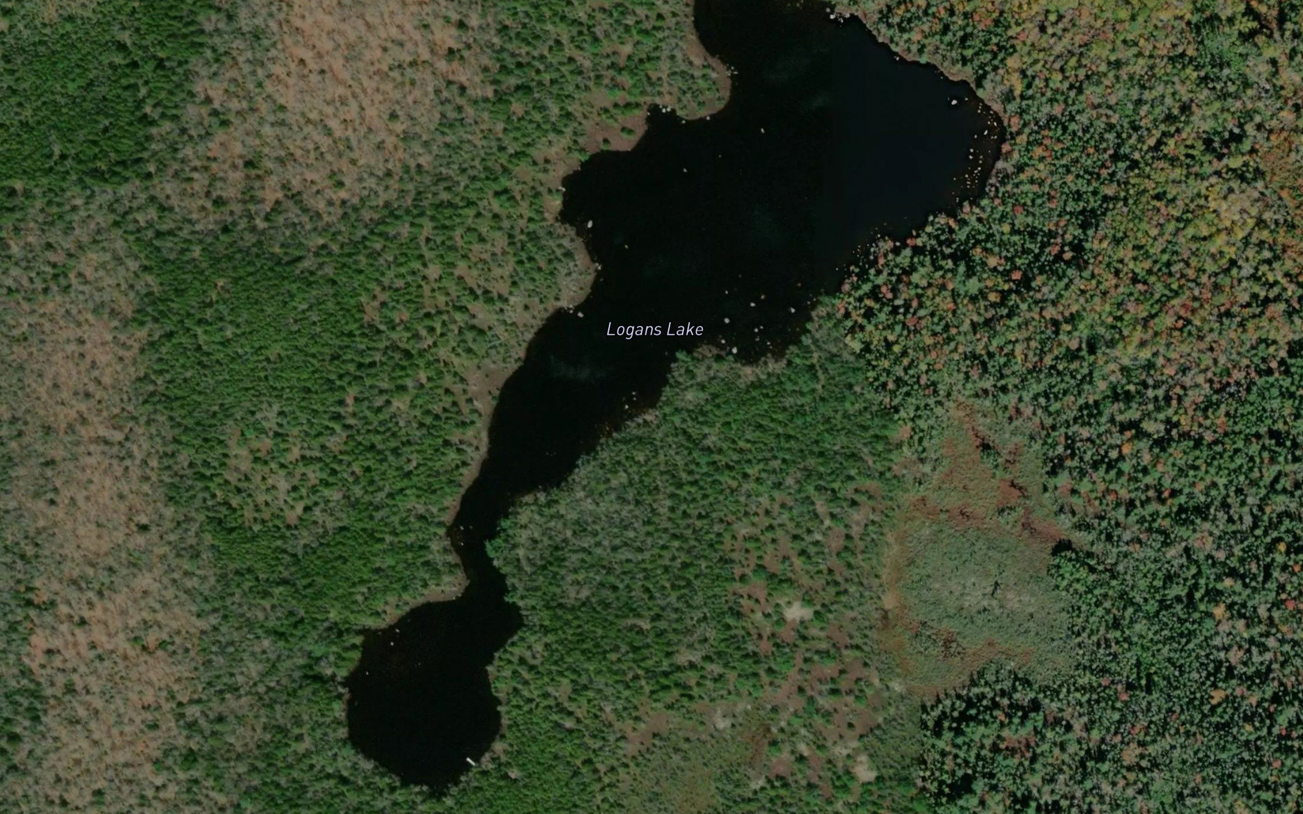 Logans Lake