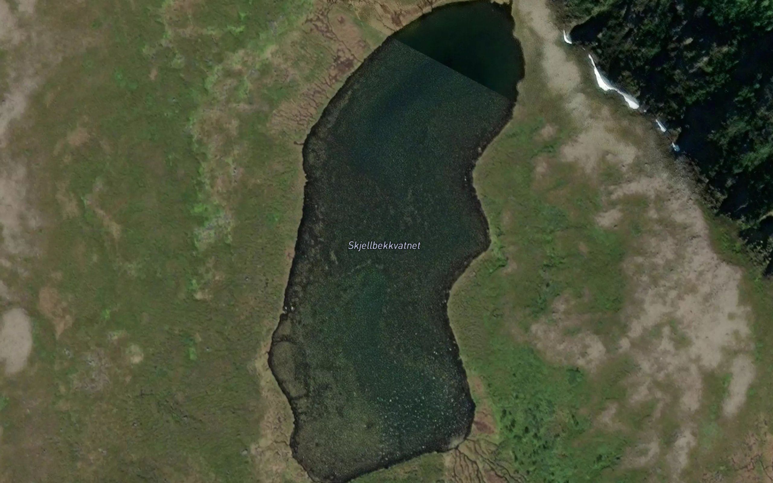 Skjellbekkvatnet