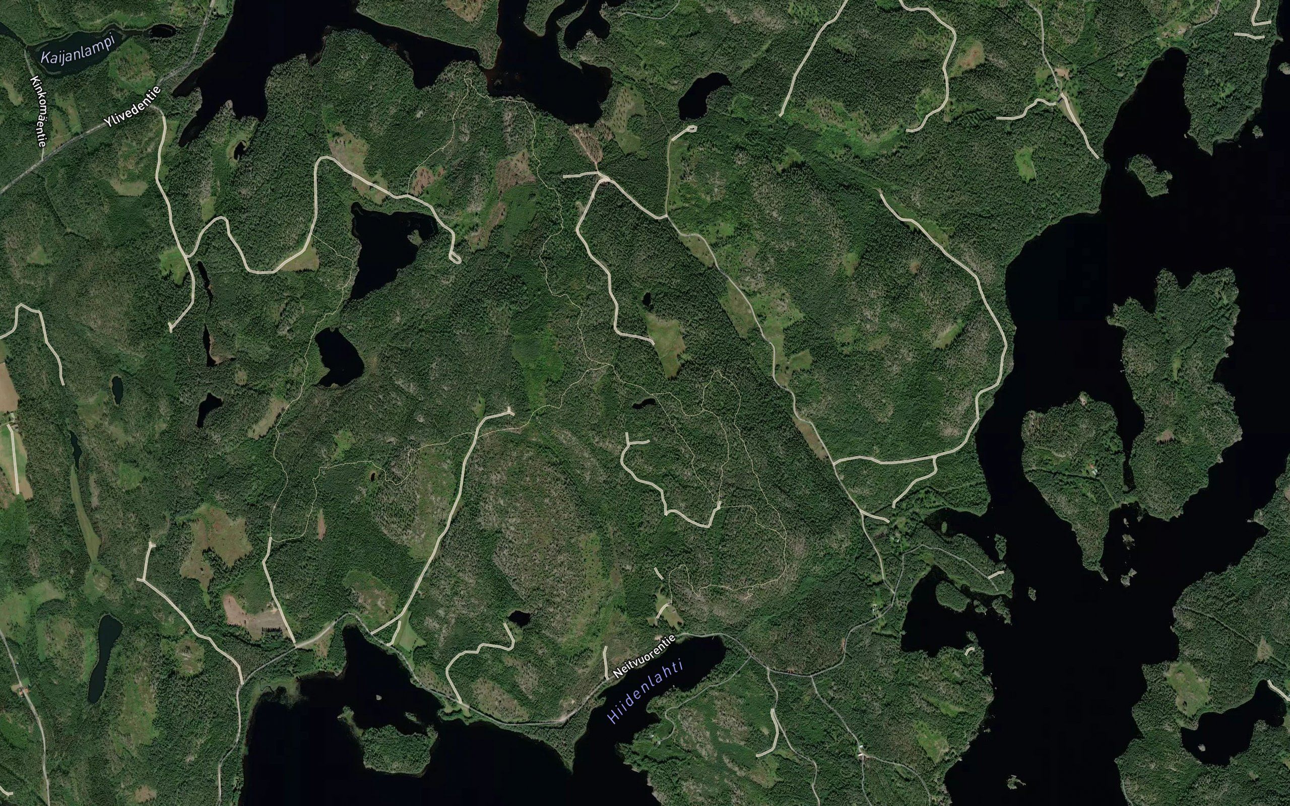Harvalainen