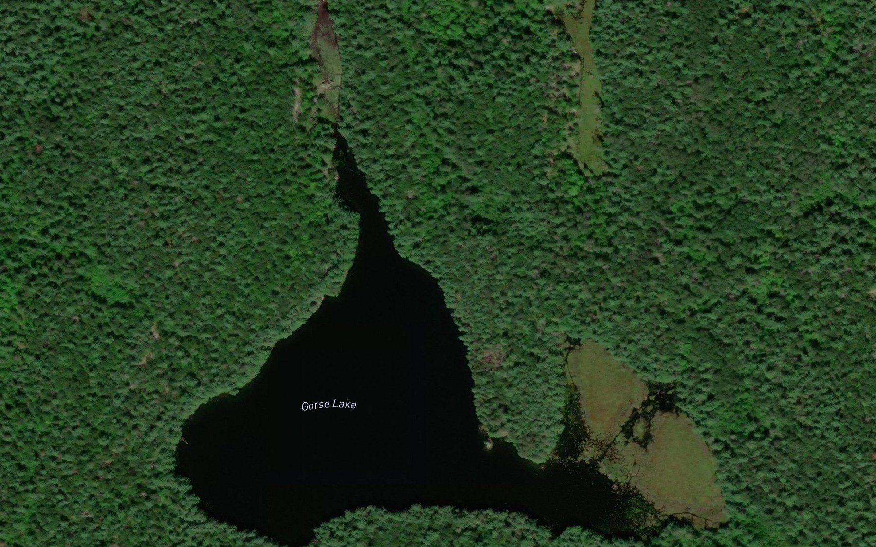 Satellite map of the Gorse Lake