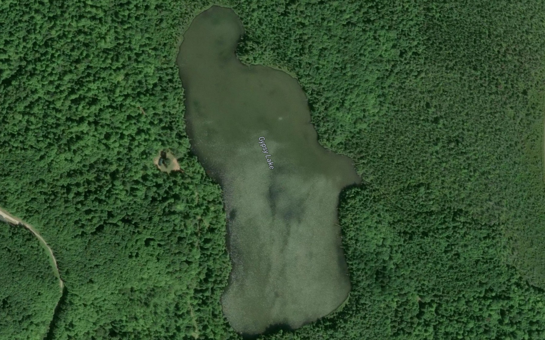 Satellite map of the Gypsy Lake