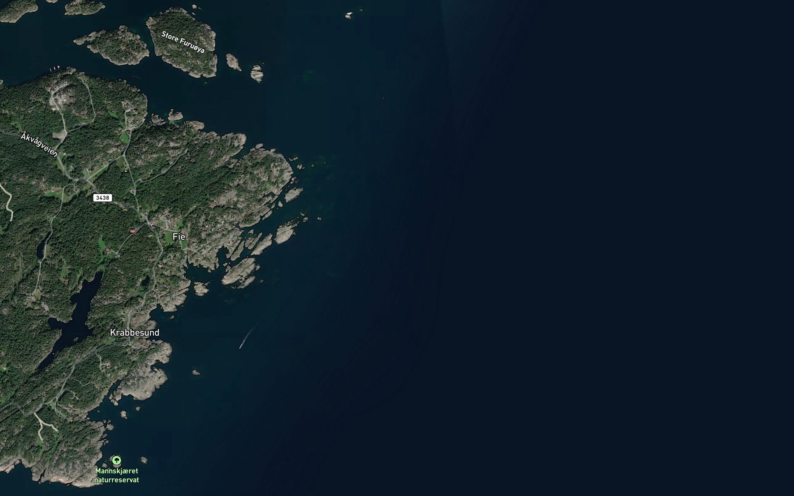 Fidjelakket