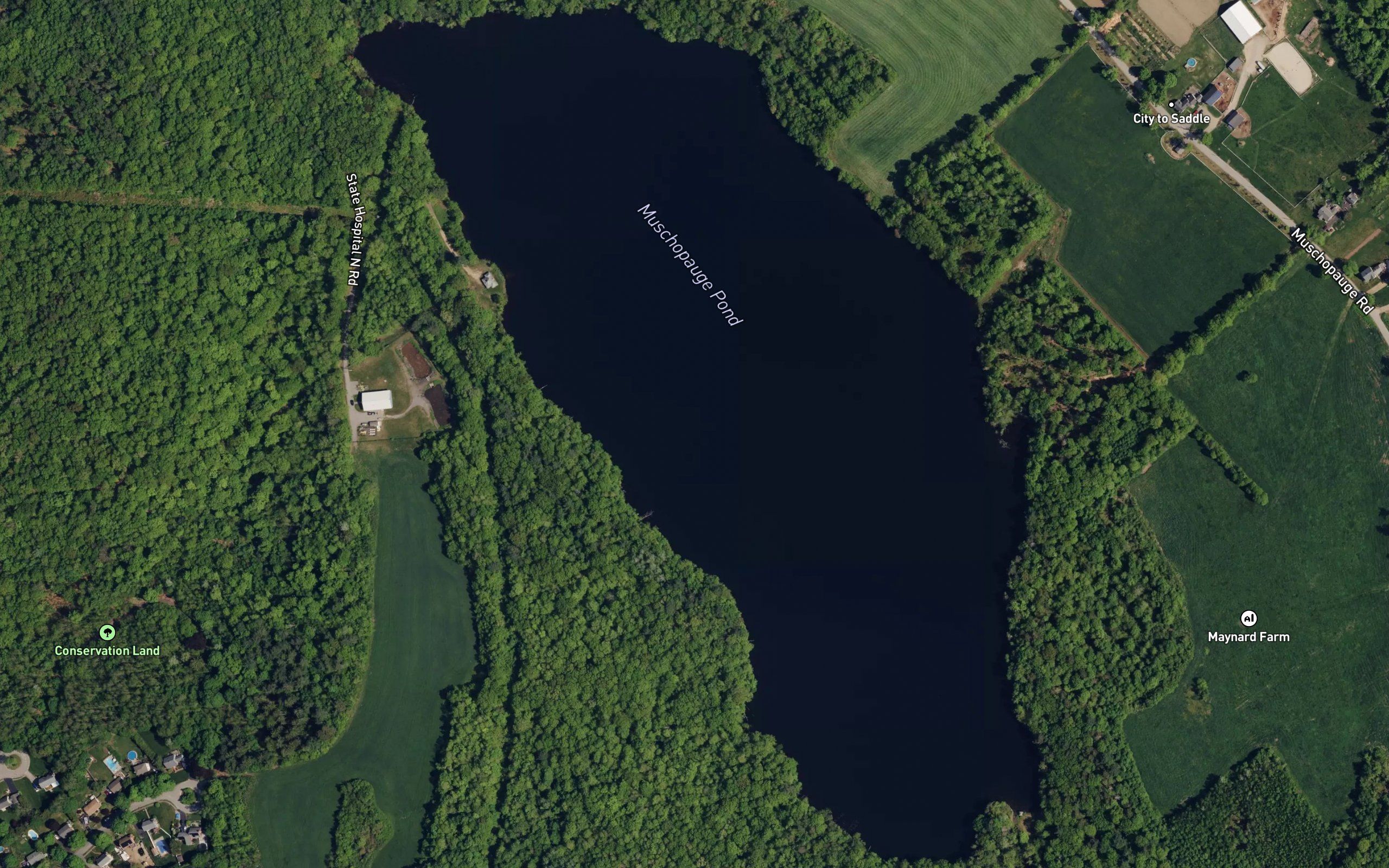 Muschopauge Pond