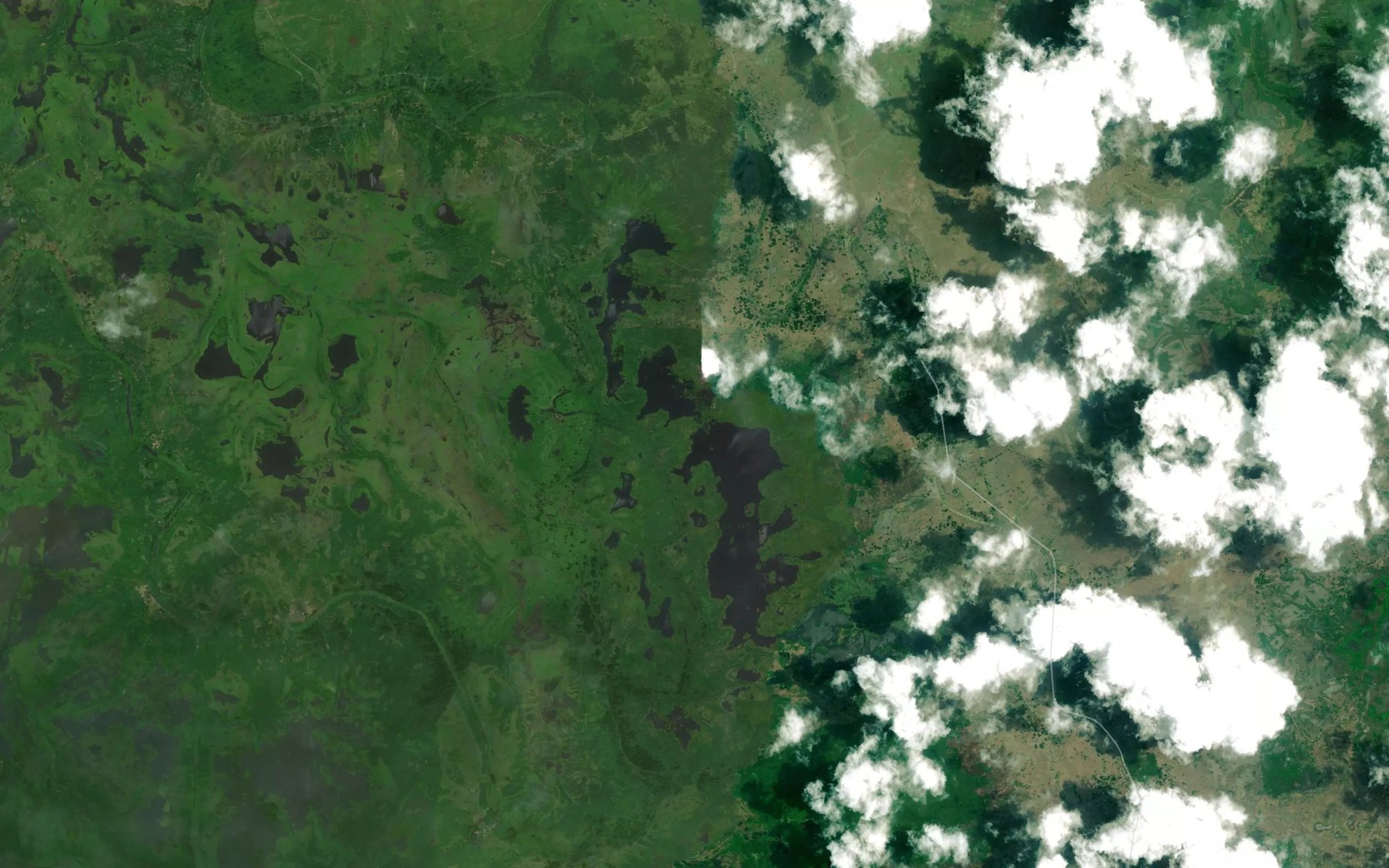 Satellite map of the Cienaga la Mosquitera