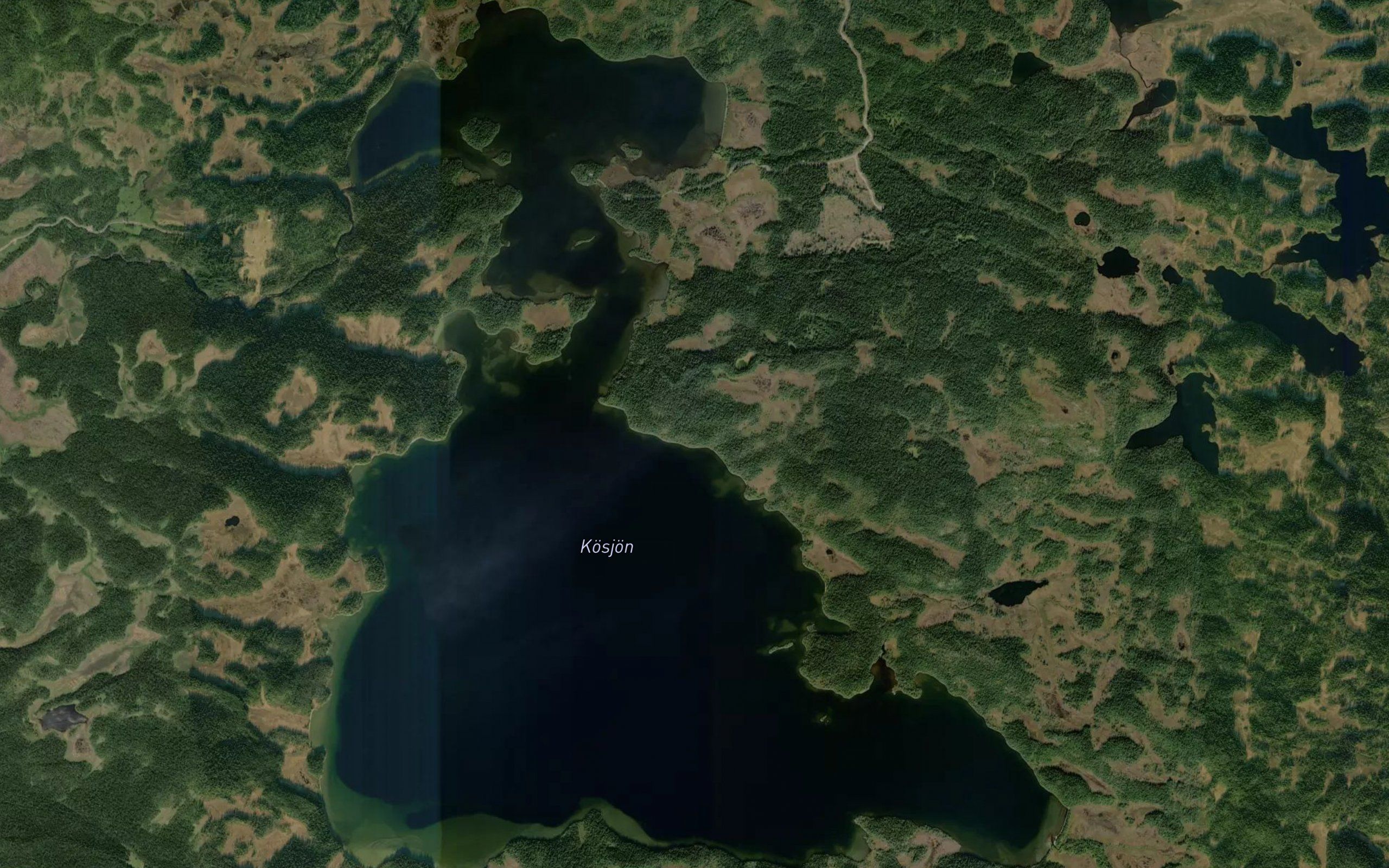 Kolsjon