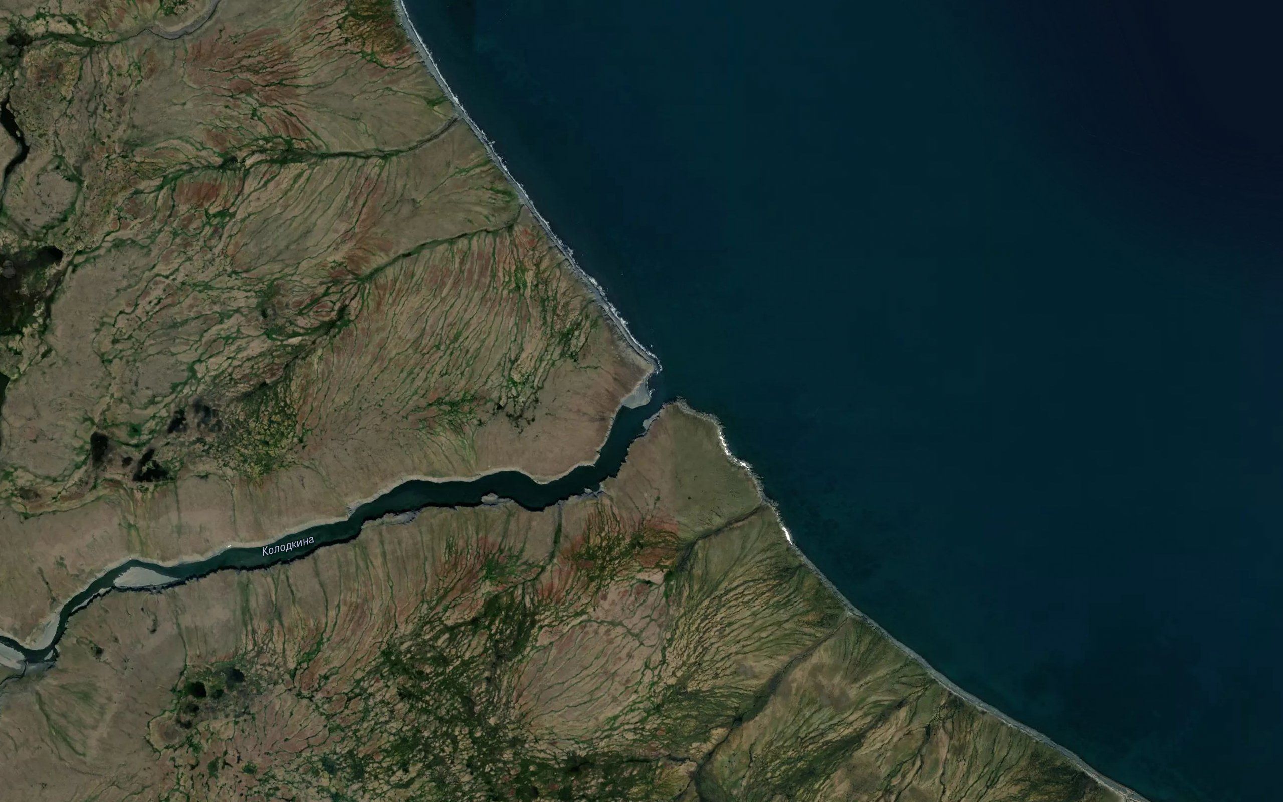 Kolodkina