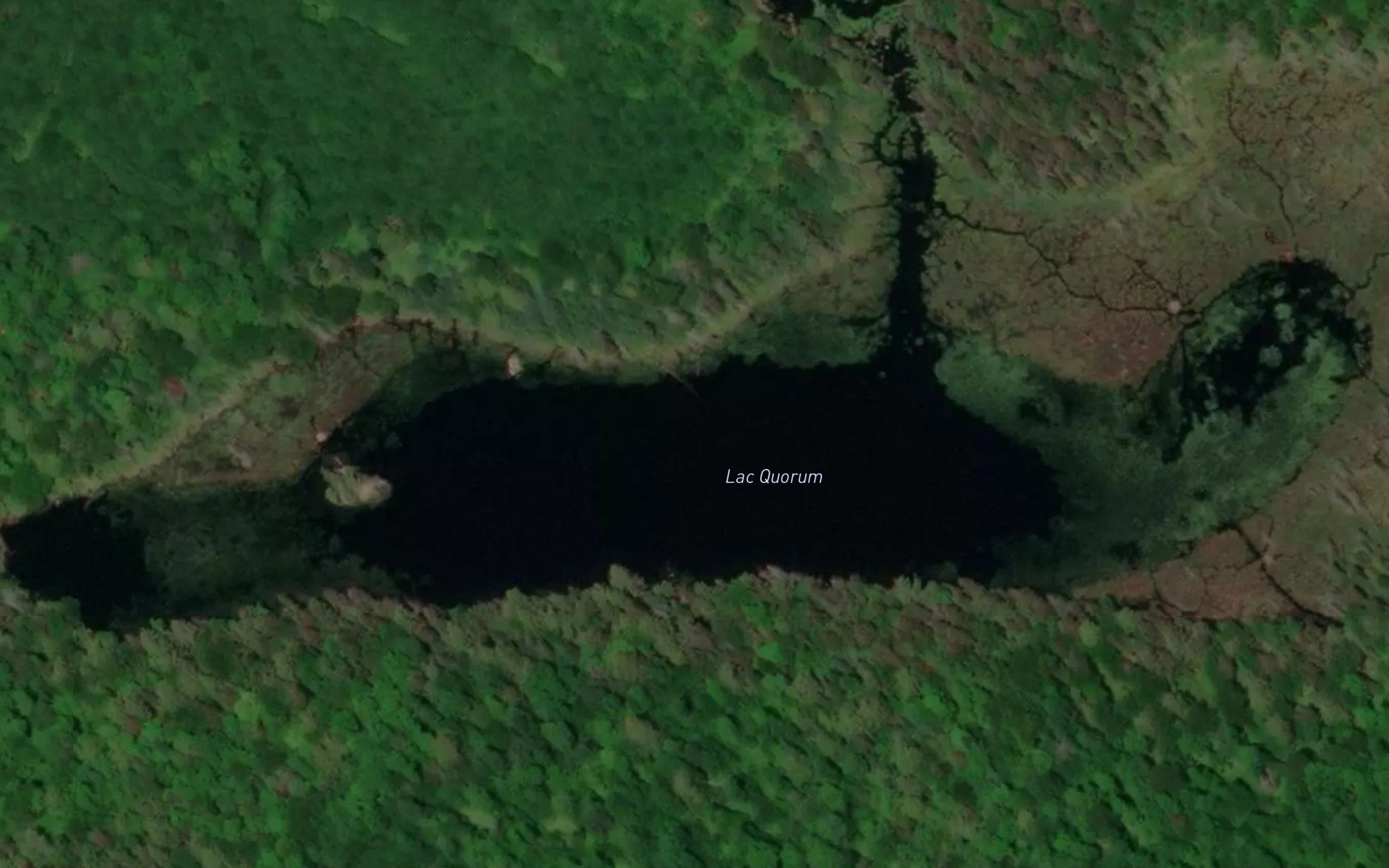 Lac Quorum