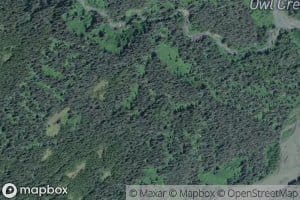Owlet Creek