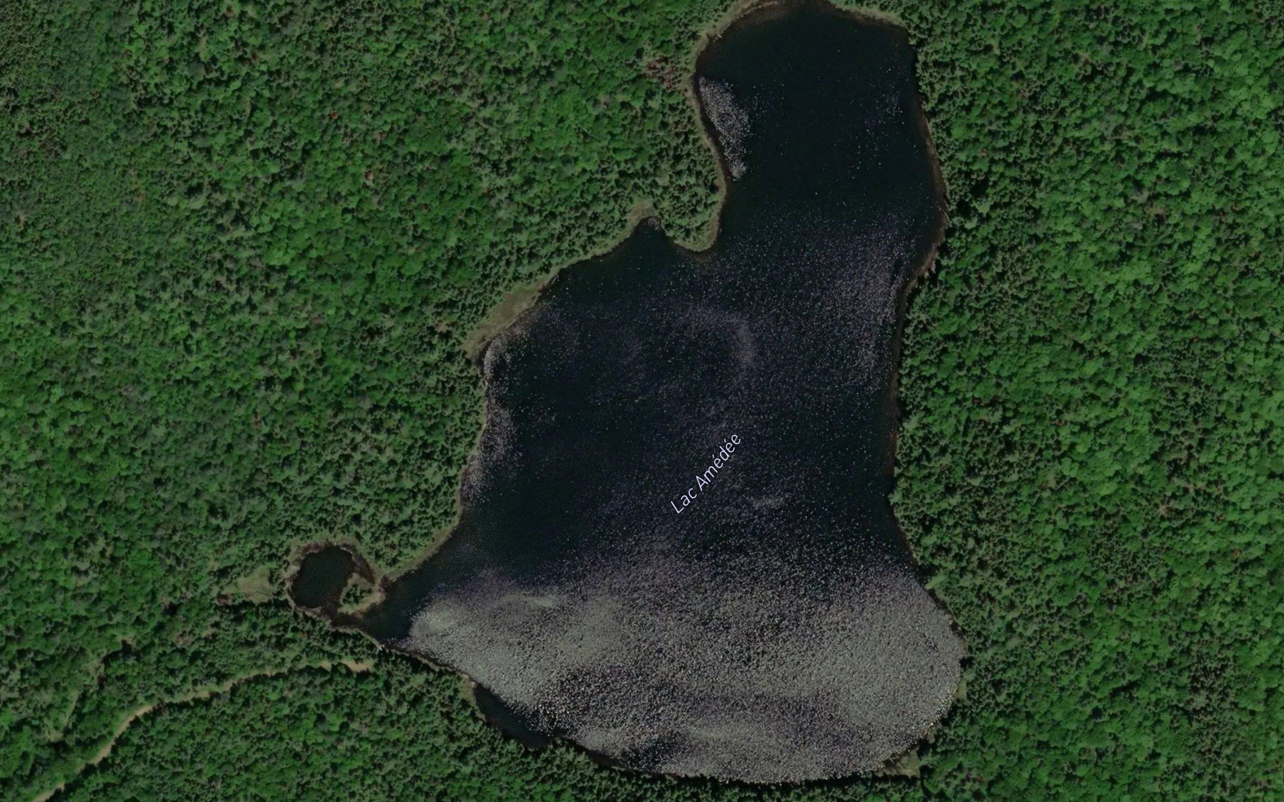 Lac Amedee
