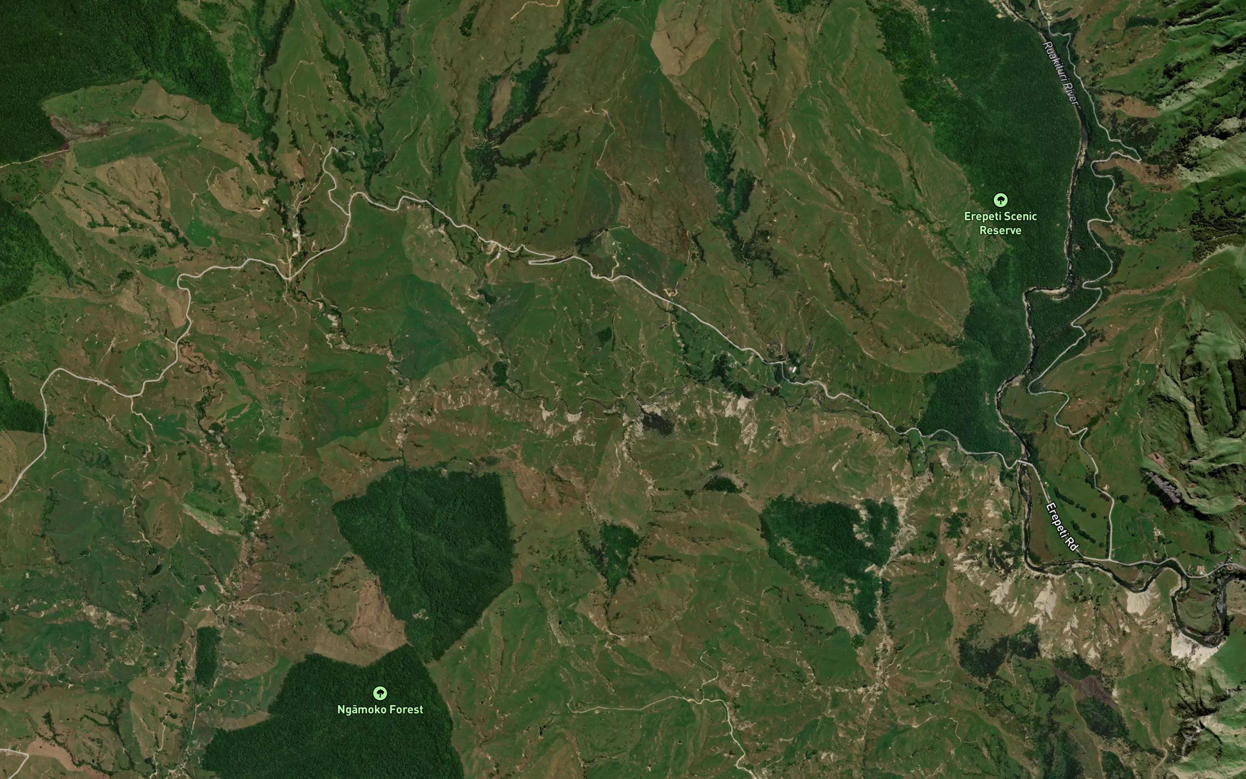 Mangarewarewa Stream