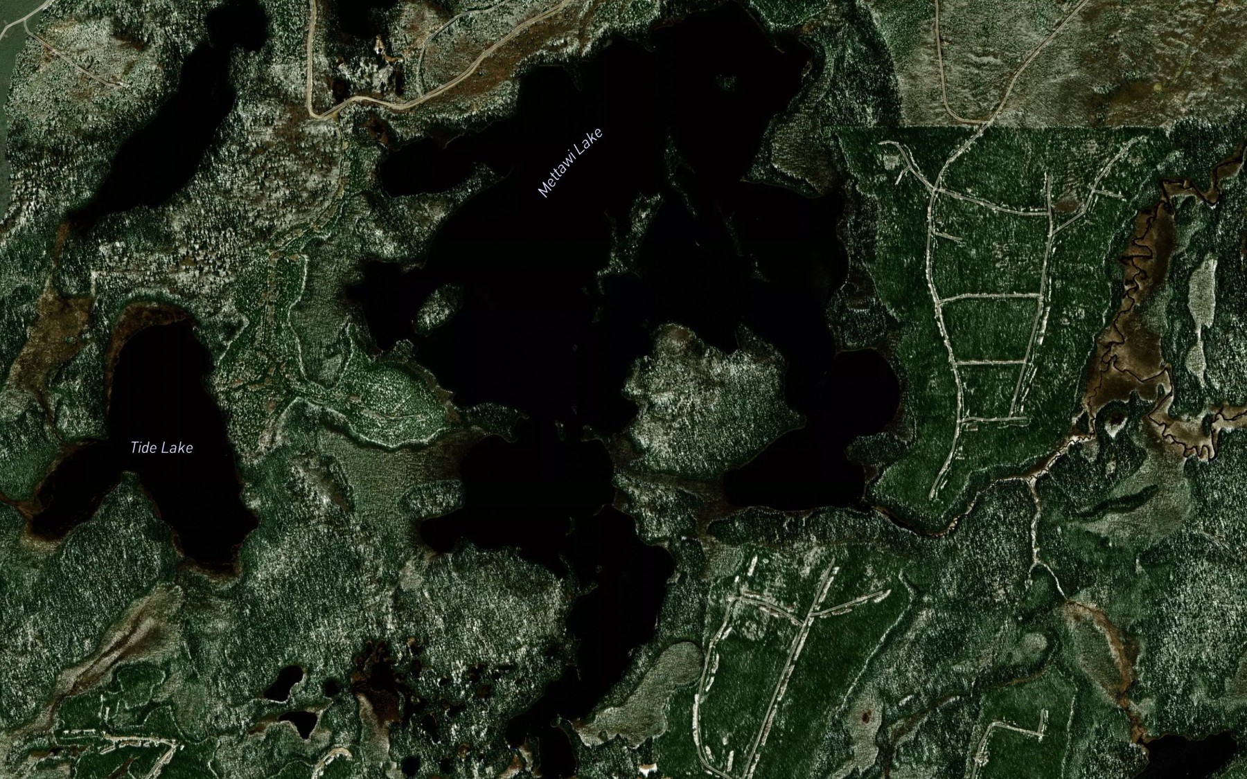 Satellite map of the Mettawi Lake