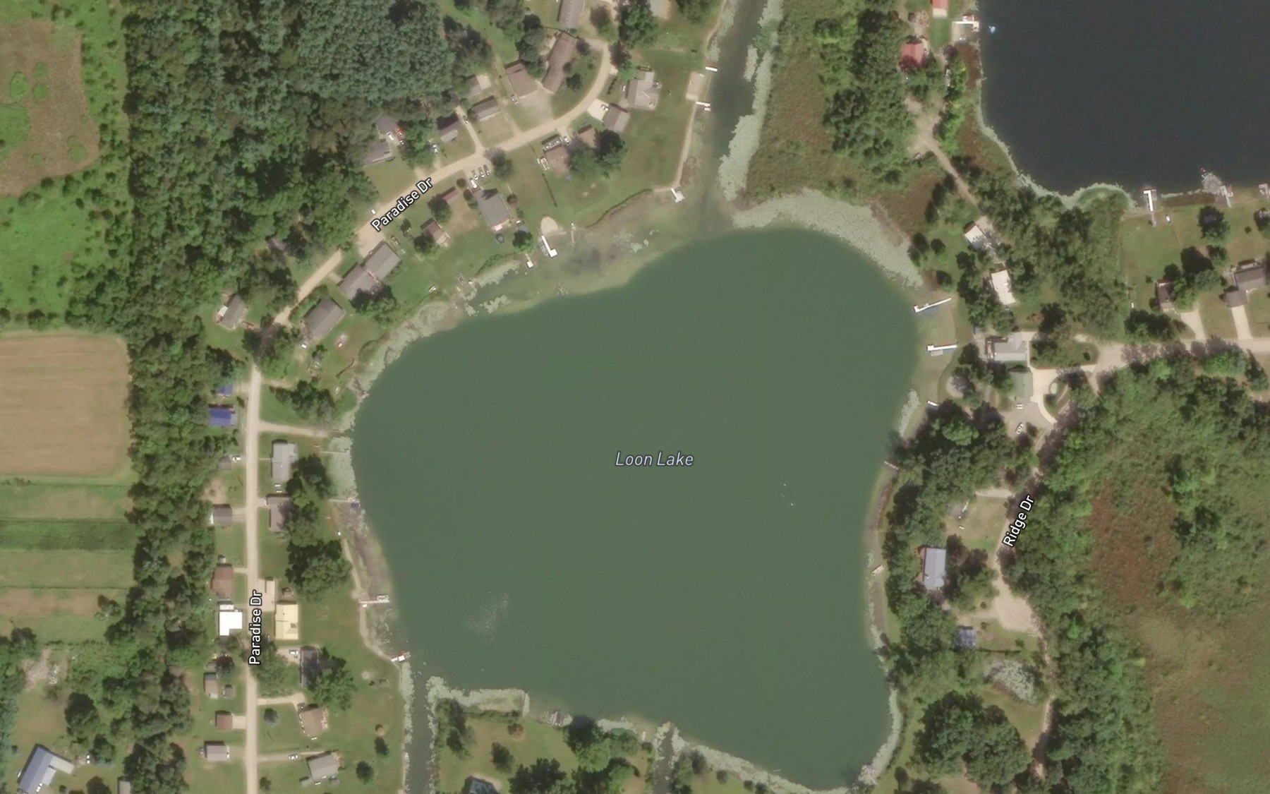 Satellite map of the Loon Lake