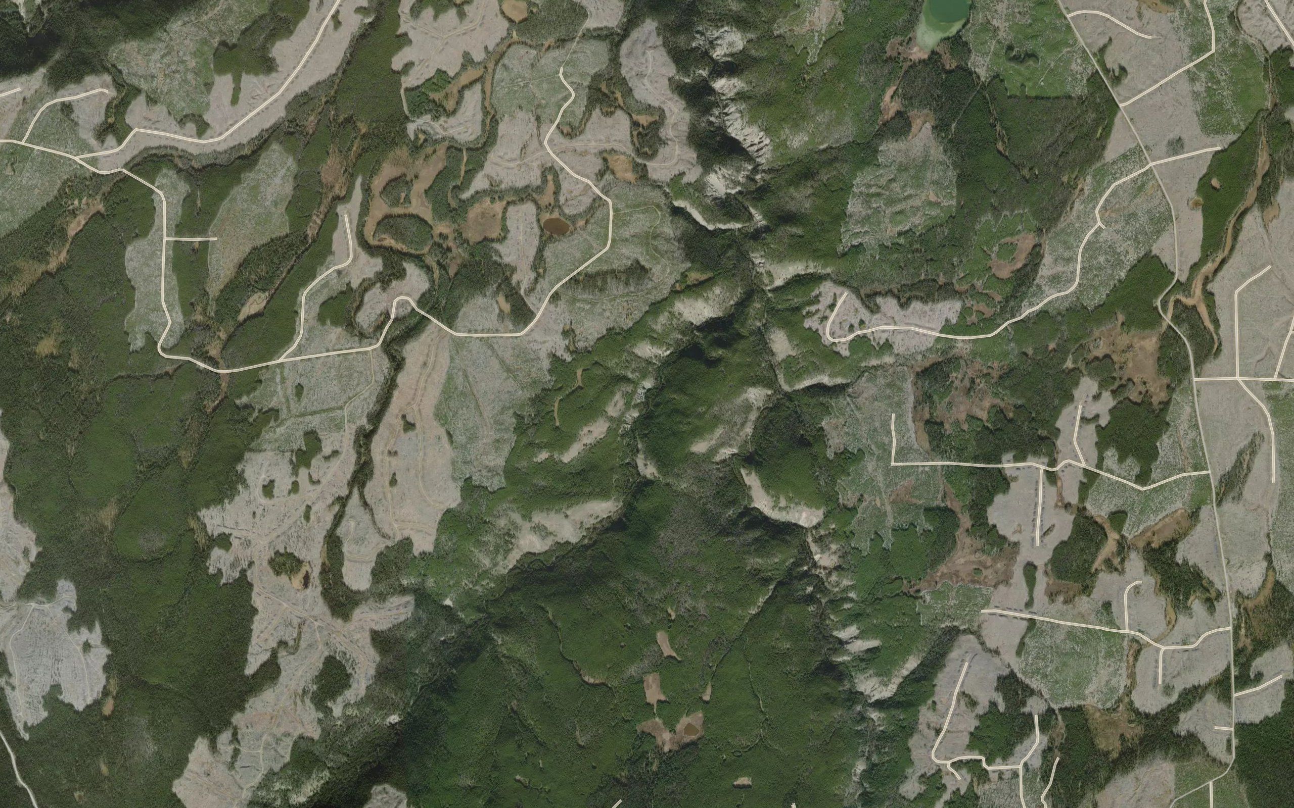 Lone Valley Creek