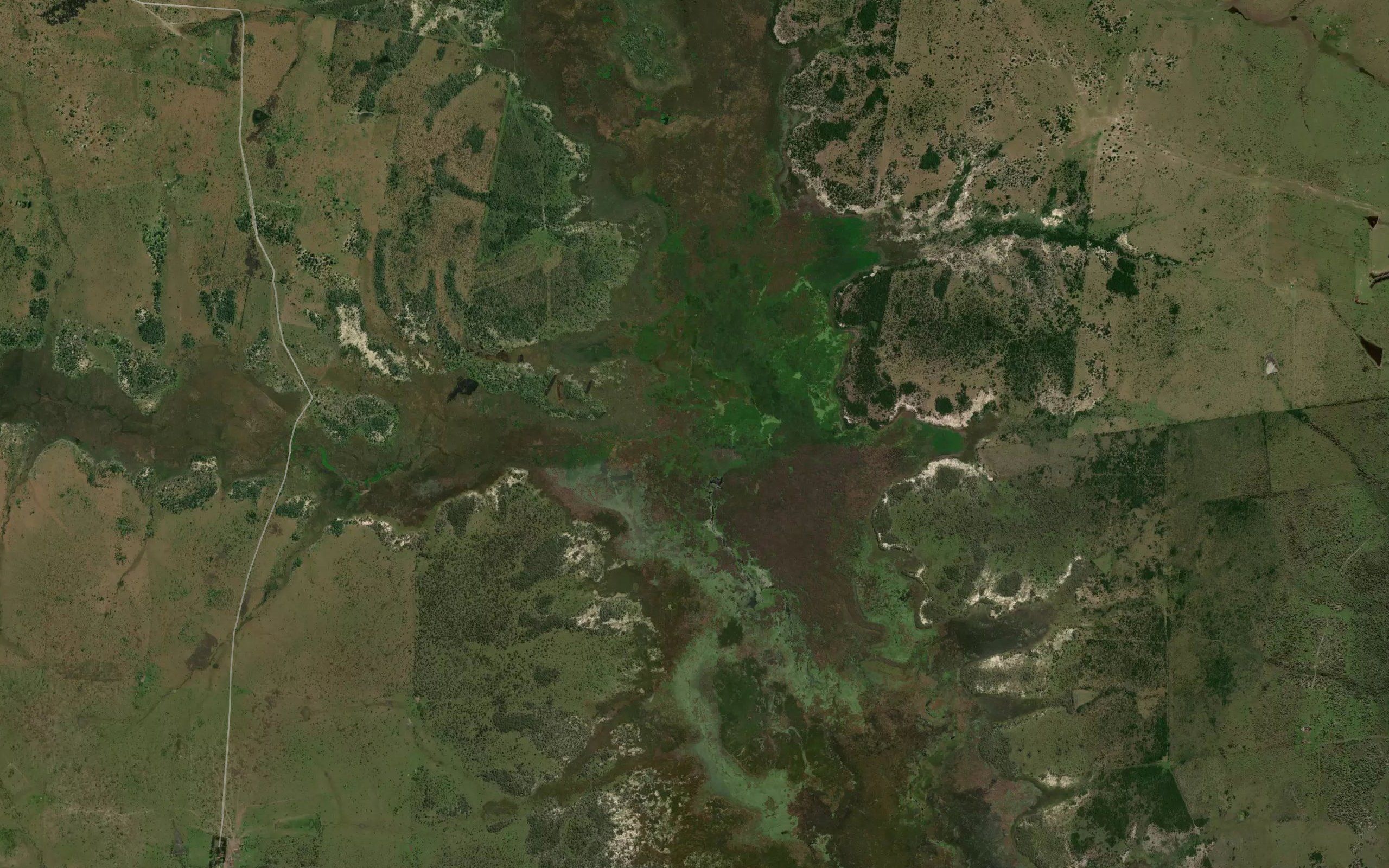 Arroyo Grande