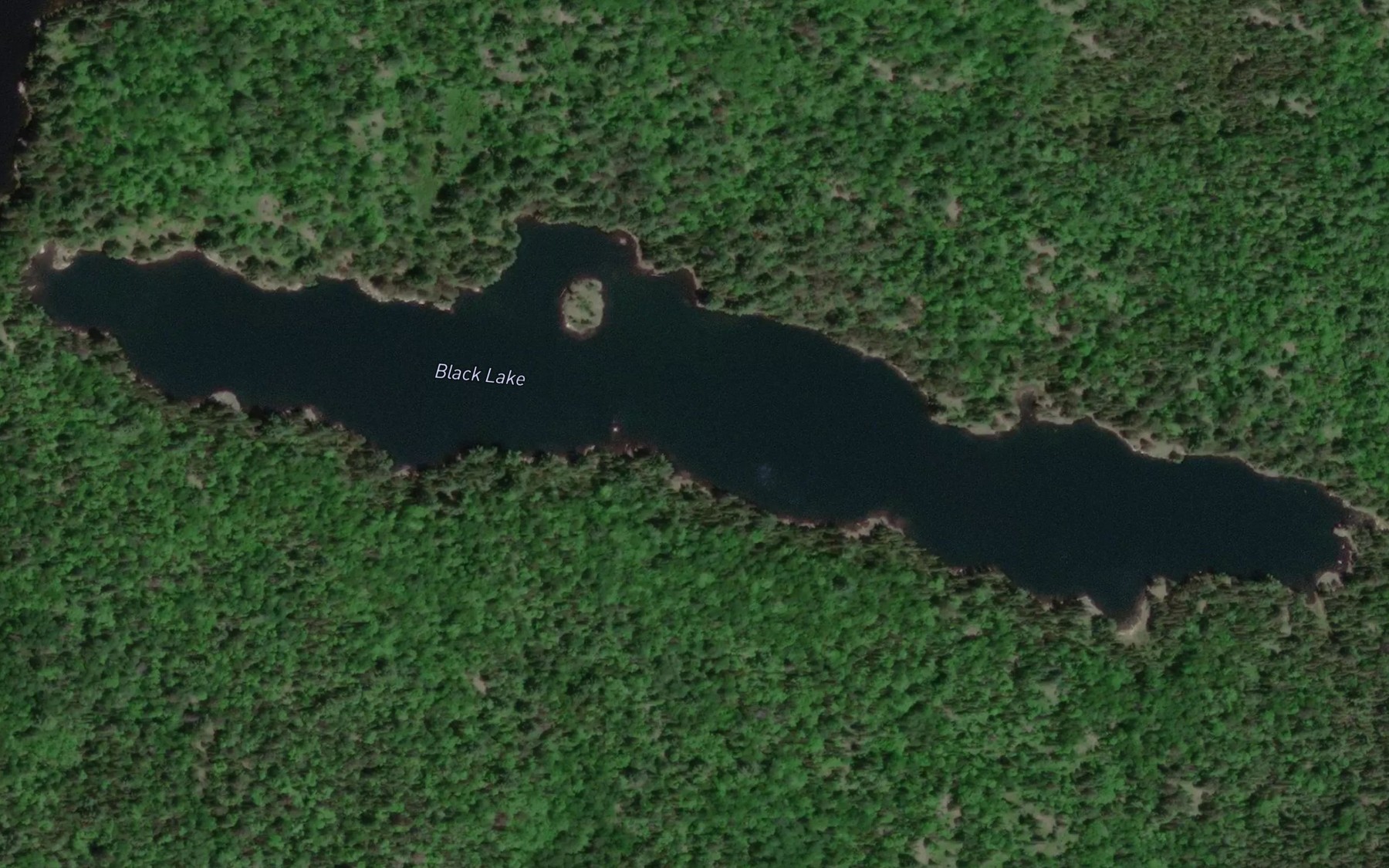 Satellite map of the Black Lake